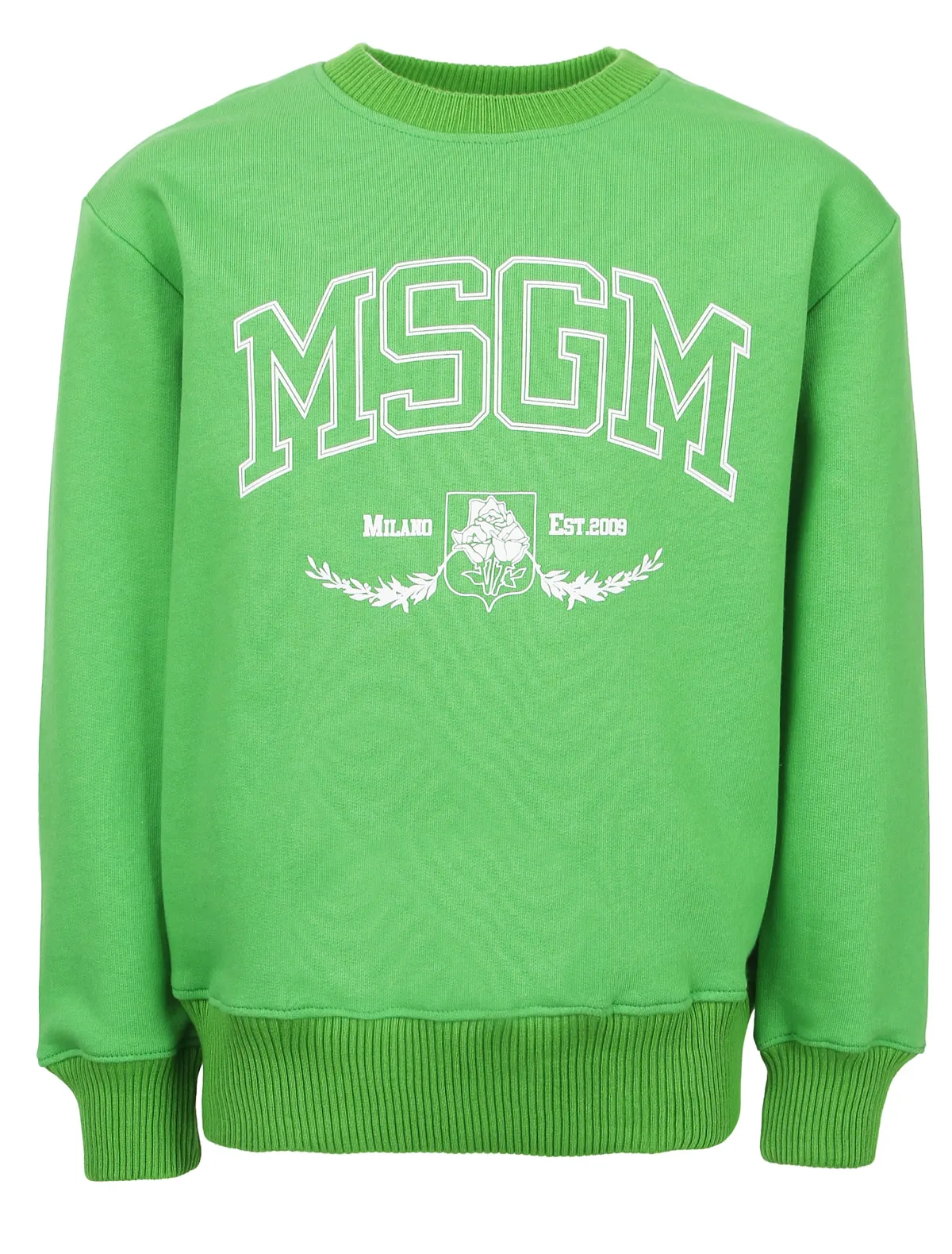 Свитшот MSGM, Зеленый, 2648850
Свитшот MSGM, Зеленый, 2648850