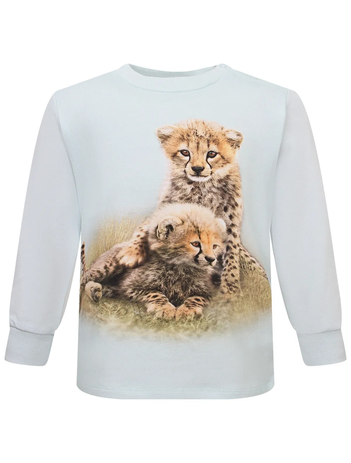 Лонгслив Molo, Голубой, 2749175
Лонгслив Molo, Голубой, 2749175