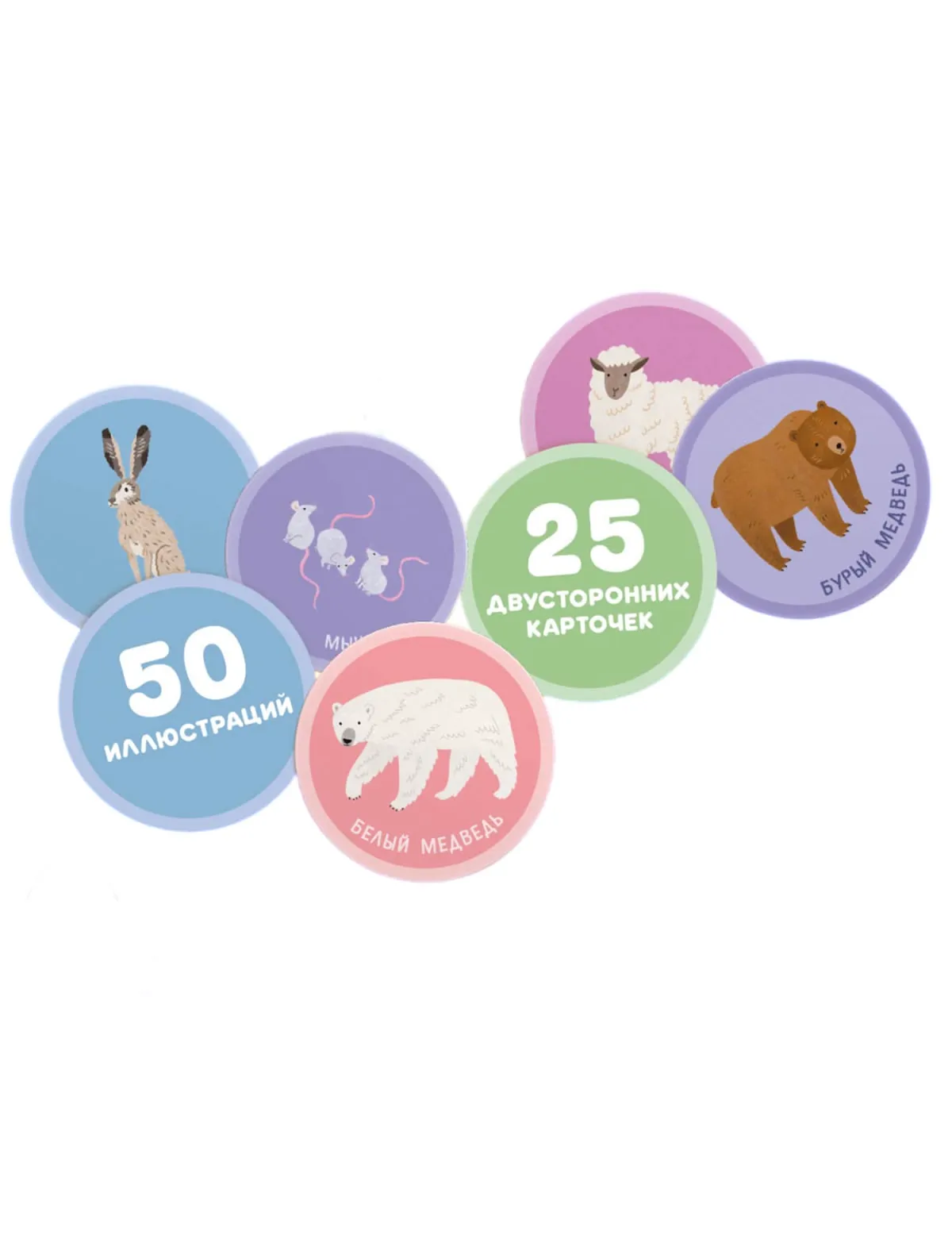 Игрушка интерактивная Alilo, Разноцветный, 2722076
Игрушка интерактивная Alilo, Разноцветный, 2722076