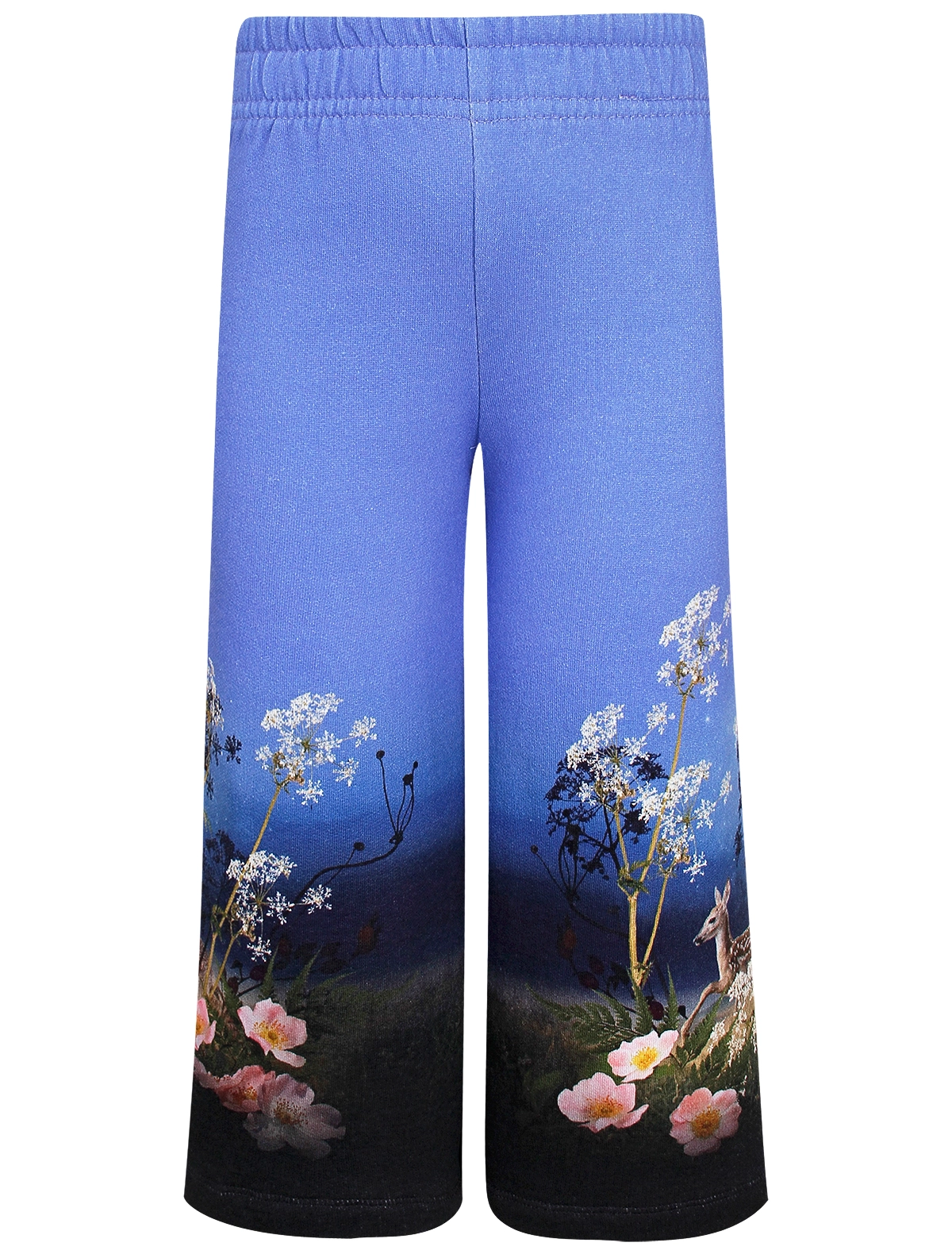 Брюки спортивные Molo, Голубой, 3047579
Брюки спортивные Molo, Голубой, 3047579