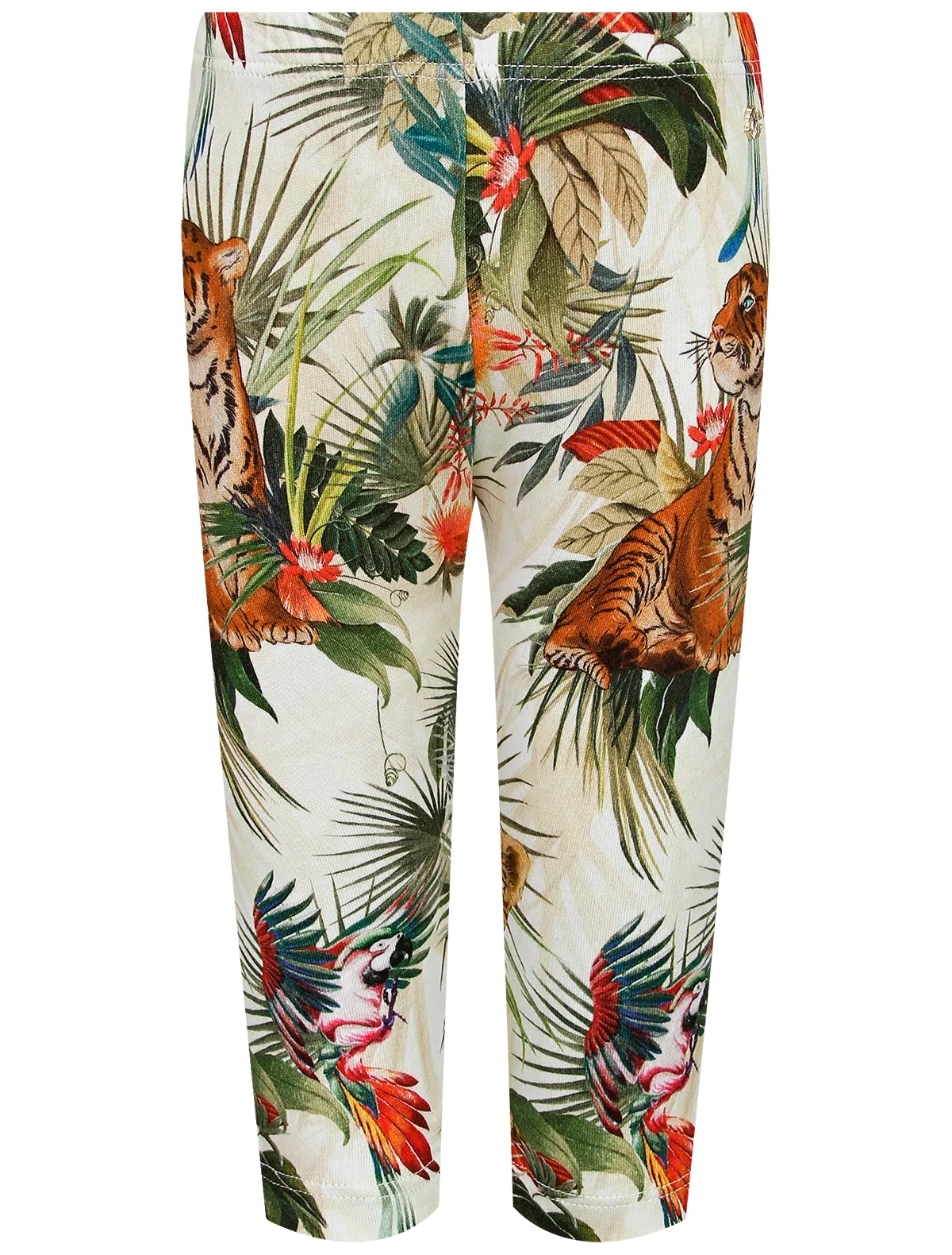 

Леггинсы Roberto Cavalli, Зеленый, 2678856