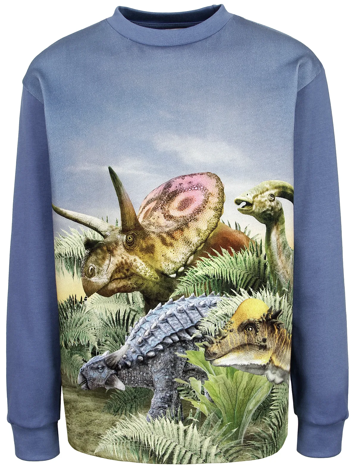 Лонгслив Molo 7952₽