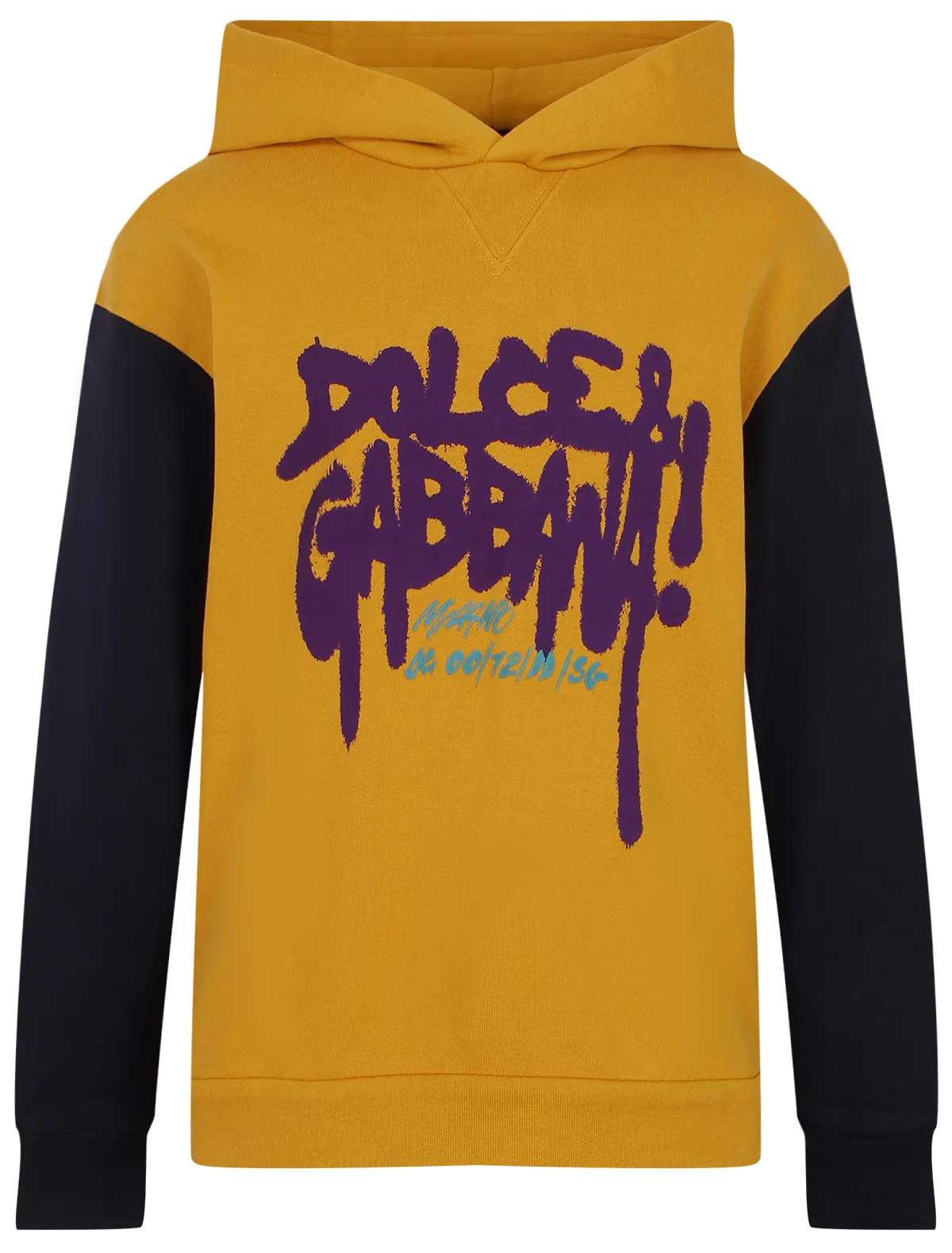 Худи Dolce Gabbana 25518₽