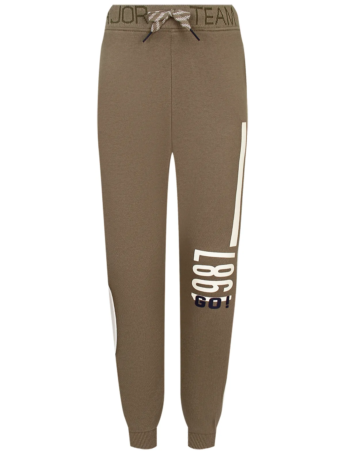 

Брюки спортивные Sergent Major, Зеленый, 2764964