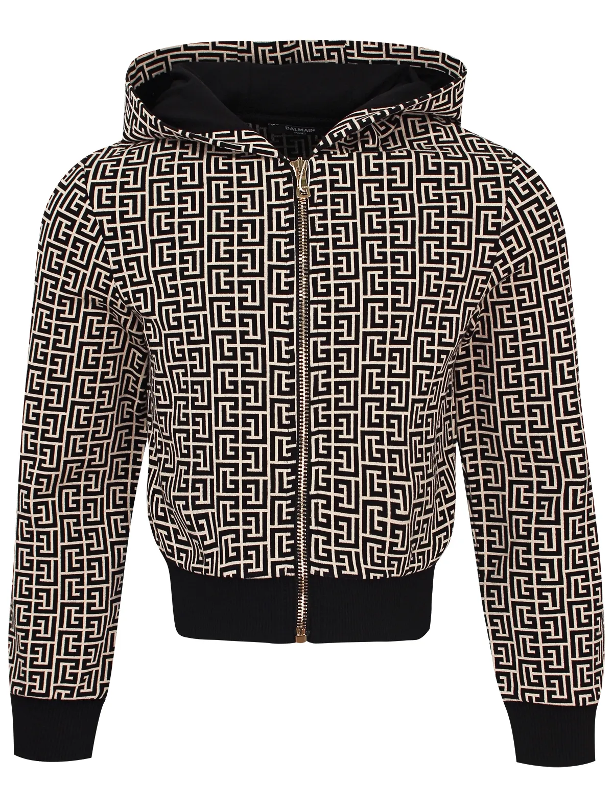 Толстовка Balmain 29028₽