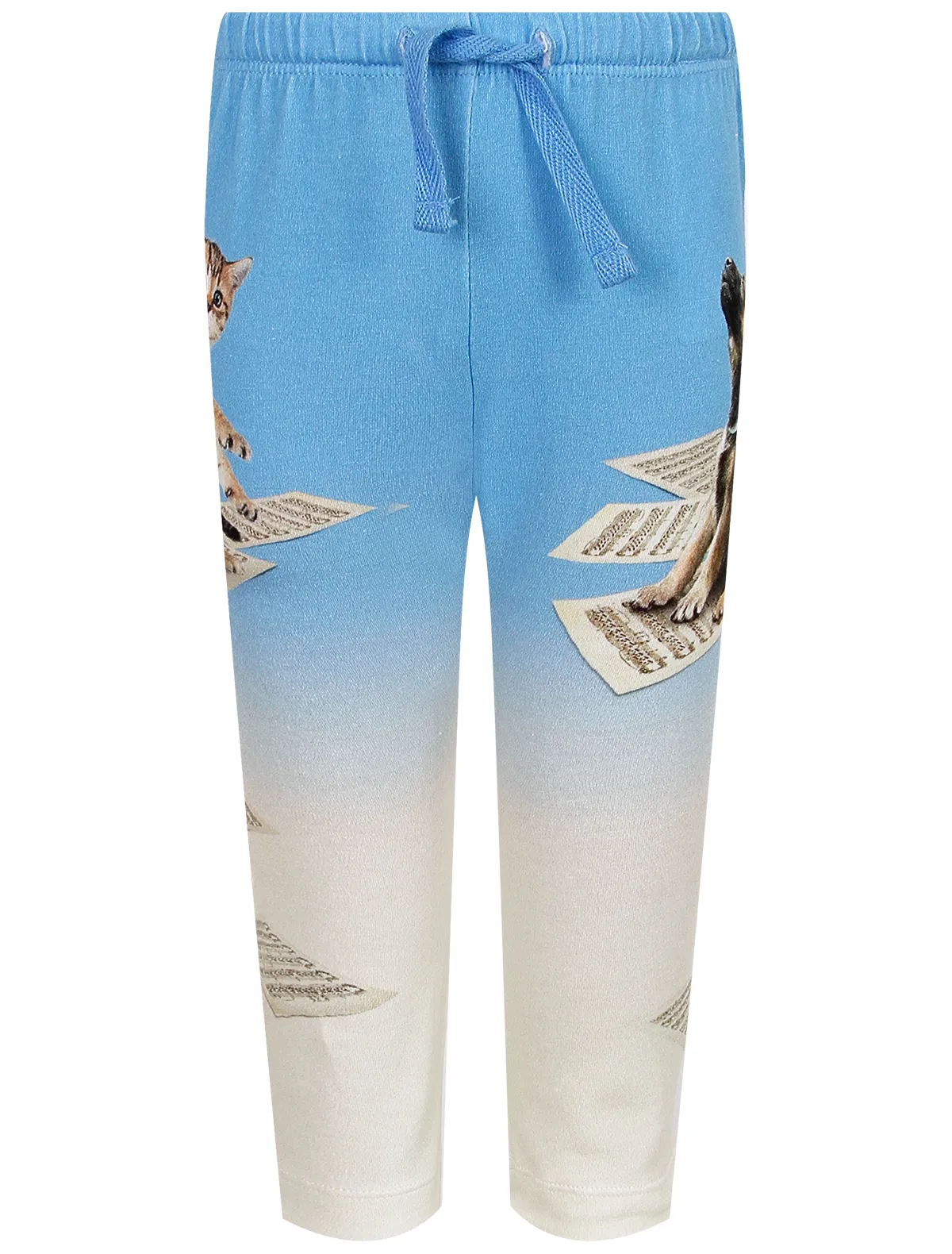 

Брюки спортивные Molo, Голубой, 2640398