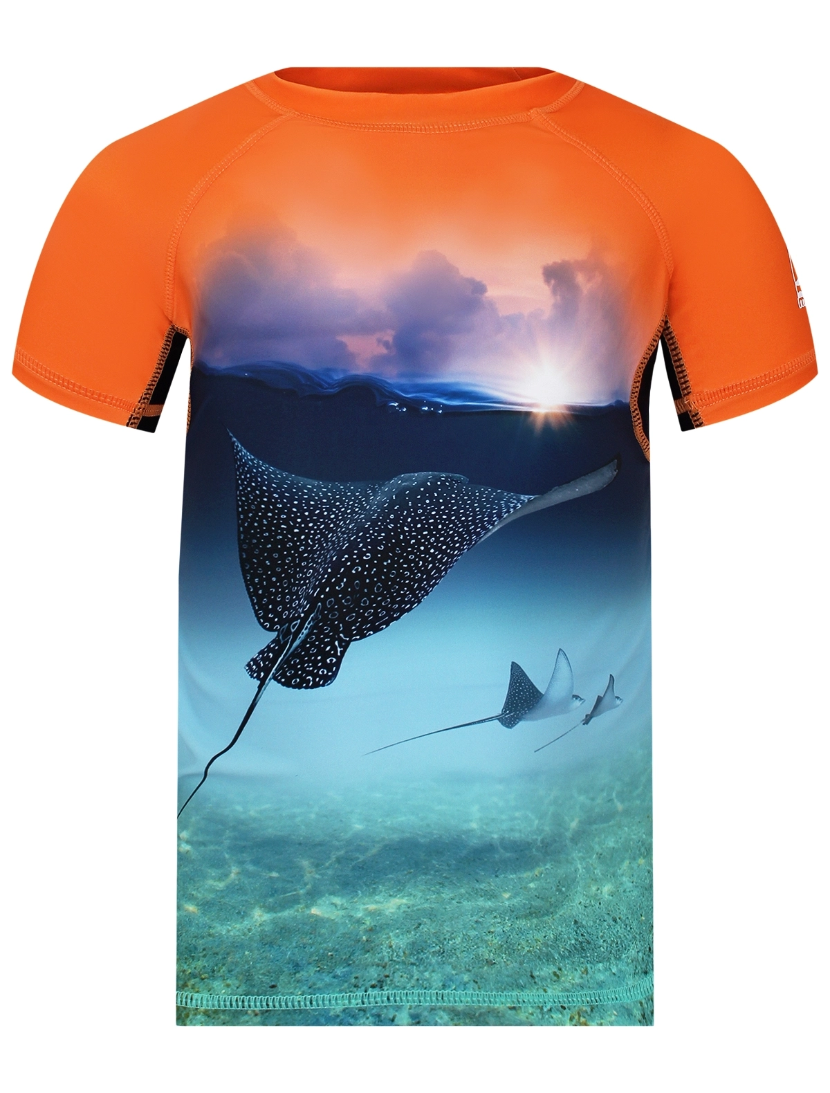 

Футболка солнцезащитная Molo, Разноцветный, 3114647