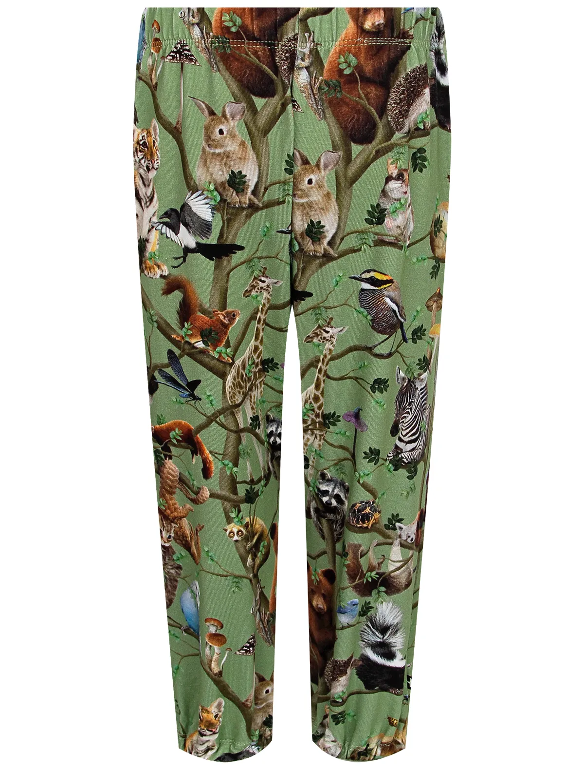 

Брюки спортивные Molo, Зеленый, 2581346