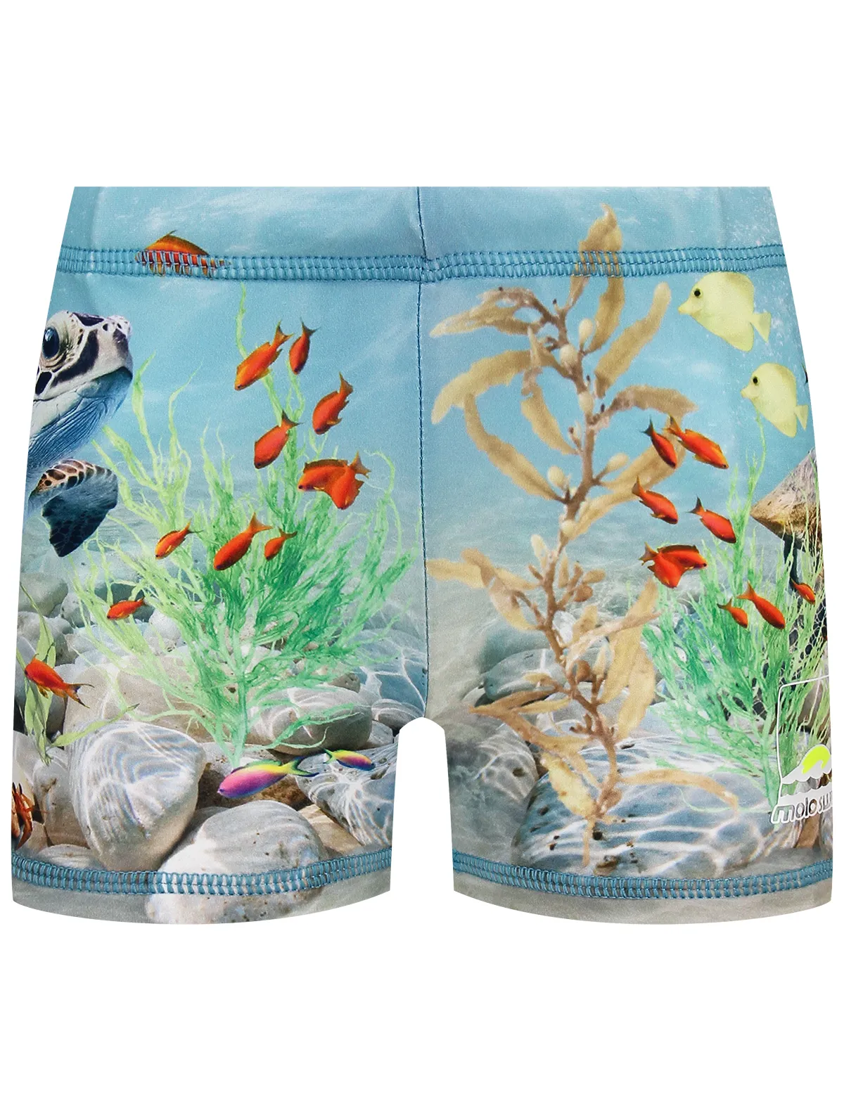 

Плавки Molo, Разноцветный, 2778083