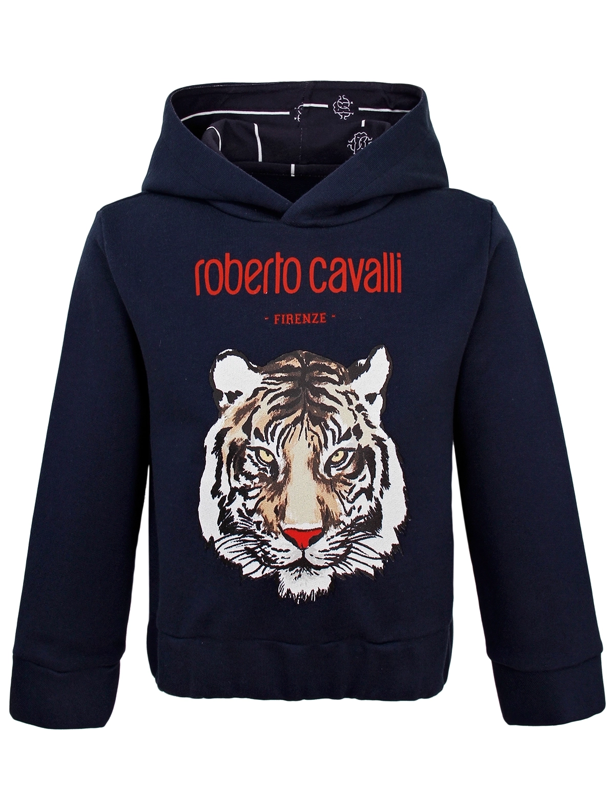 

Худи Roberto Cavalli, Синий, 3084870