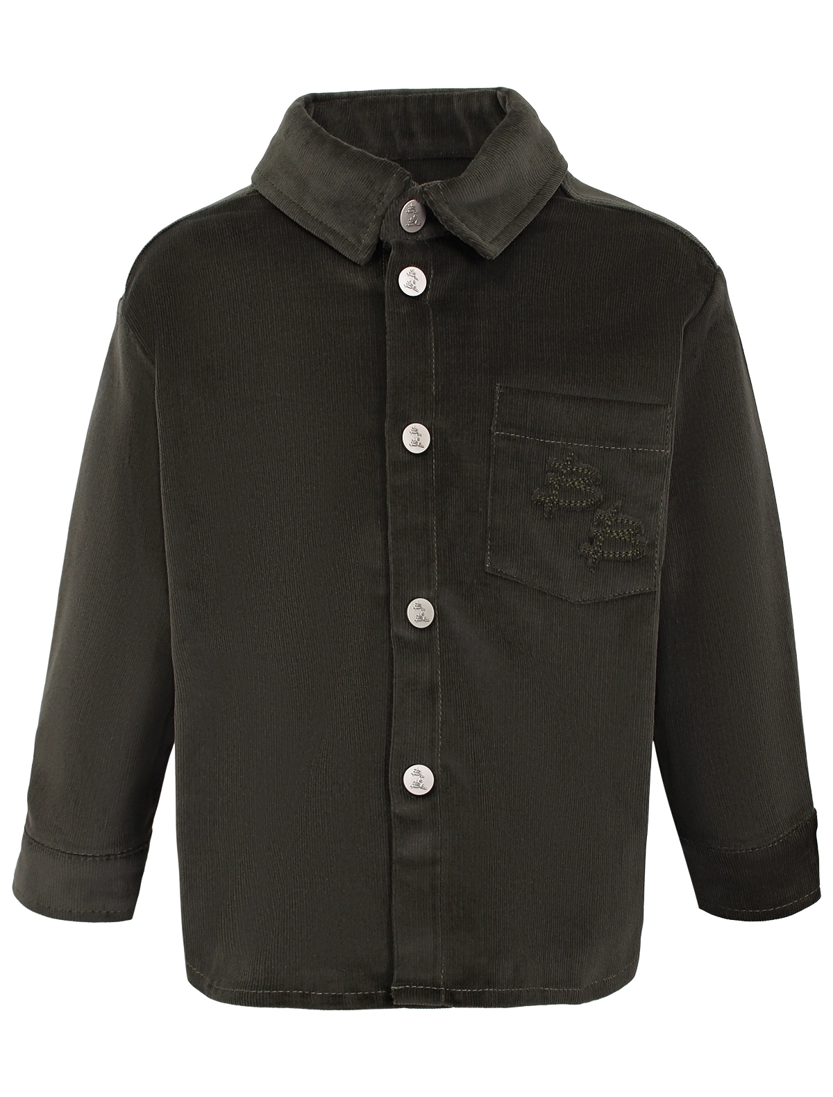 

Рубашка Born to Bloom, Зеленый, 3105144