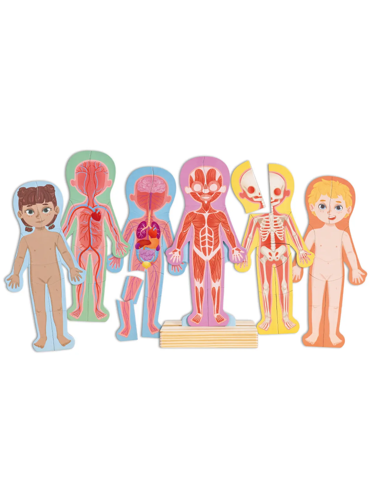 

Игрушка развивающая Hape, Разноцветный, 2740412