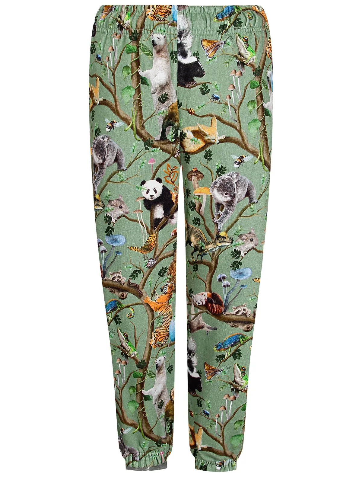 

Брюки спортивные Molo, Зеленый, 2581285