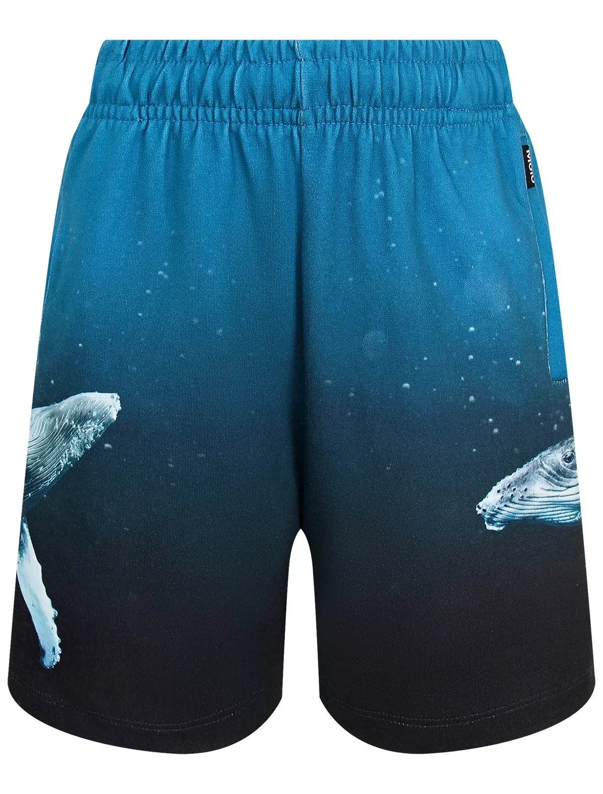 

Шорты Molo, Синий, 2777840