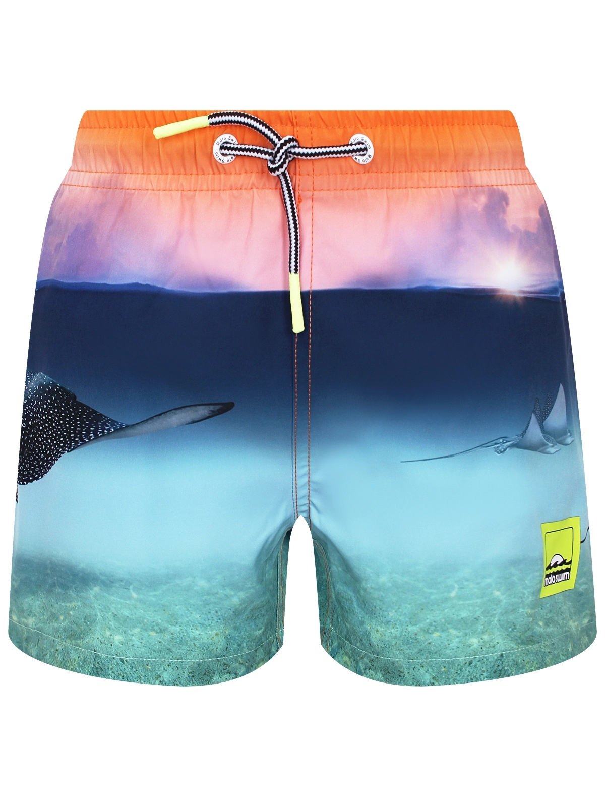 

Шорты пляжные Molo, Разноцветный, 3114666