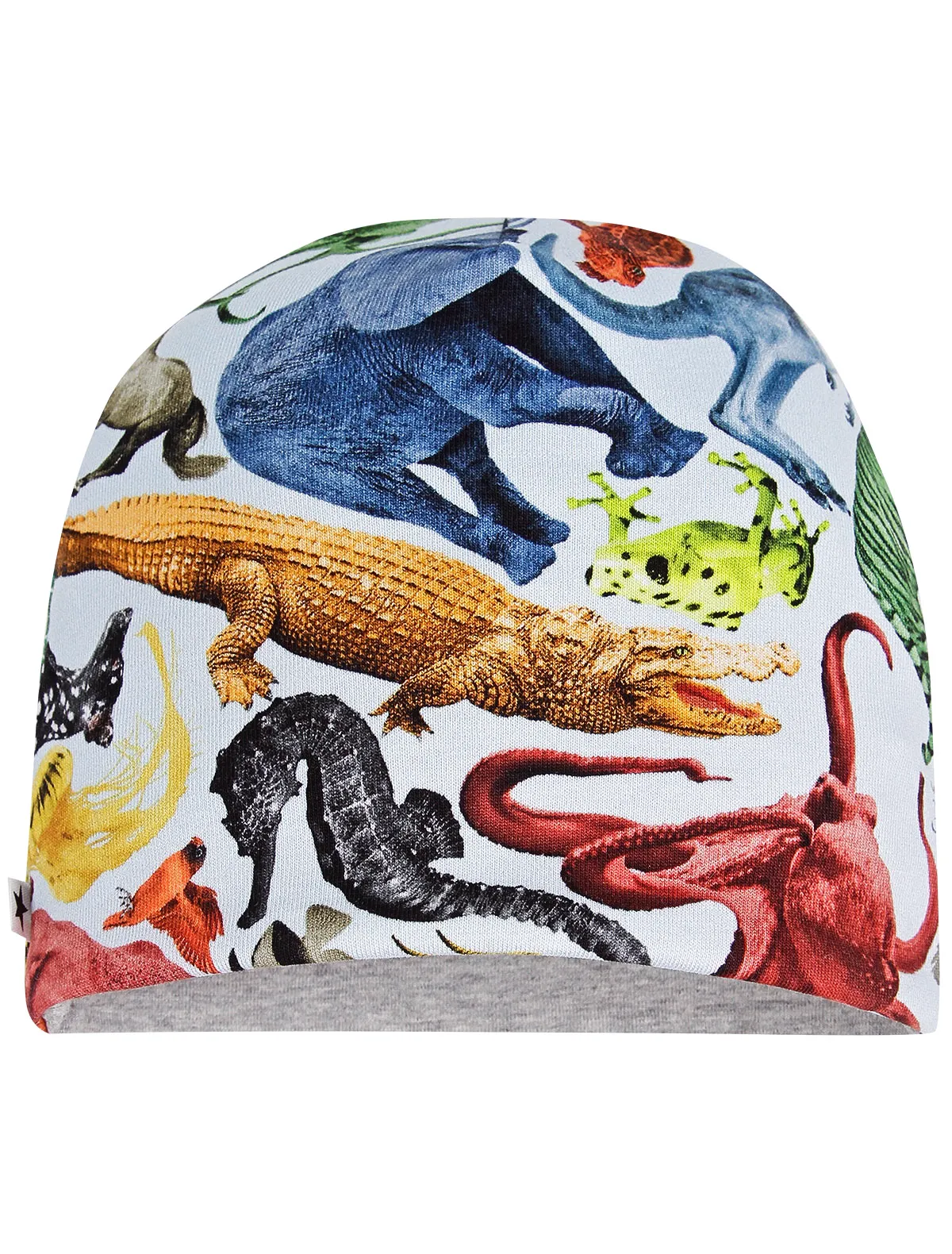 

Шапка Molo, Голубой, 2270889