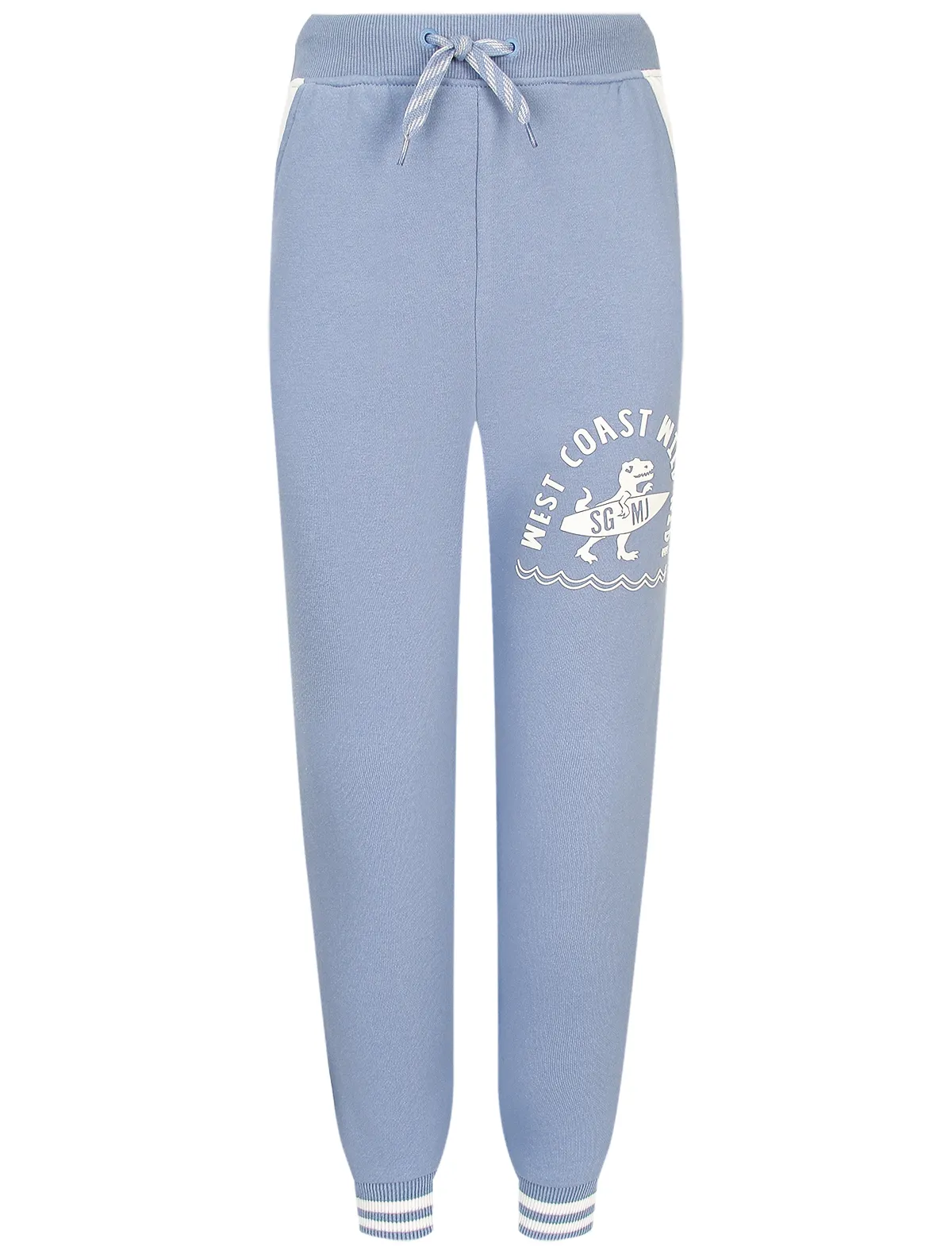 

Брюки спортивные Sergent Major, Голубой, 2764798