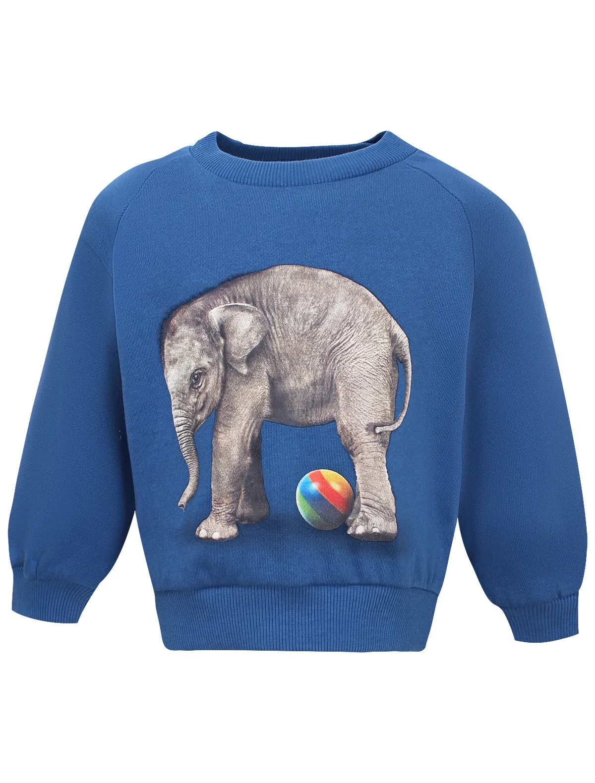 

Свитшот Molo, Синий, 2789742