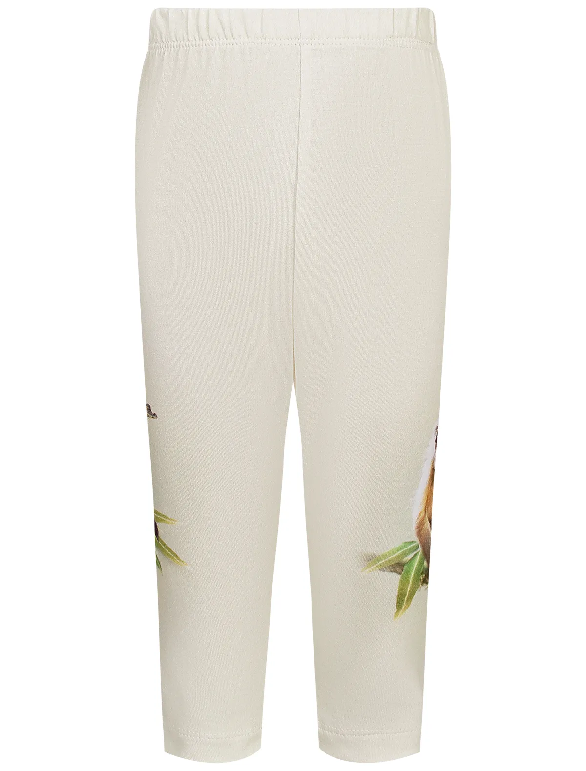 Брюки Molo 4736₽