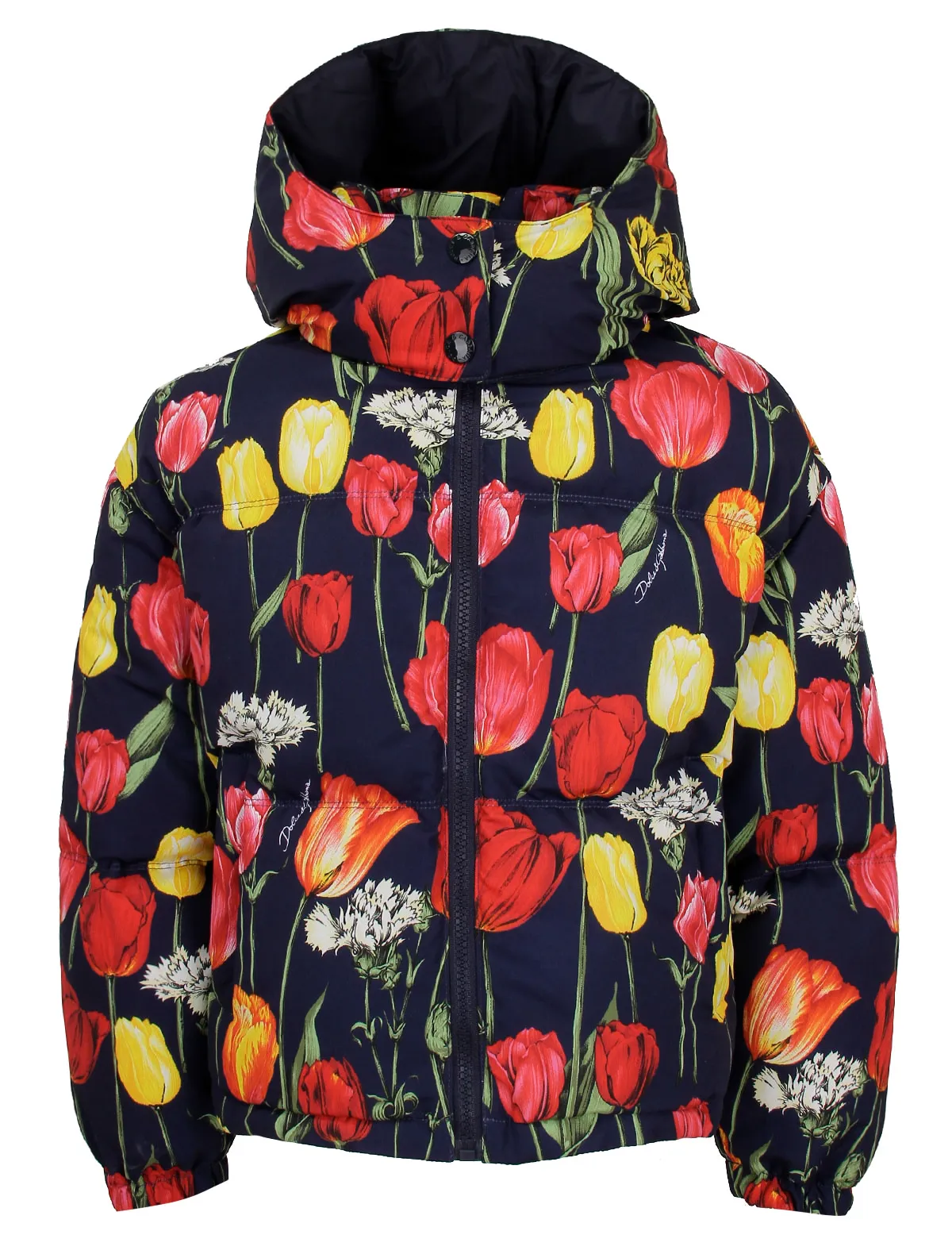 

Куртка Dolce & Gabbana, Разноцветный, 2703501