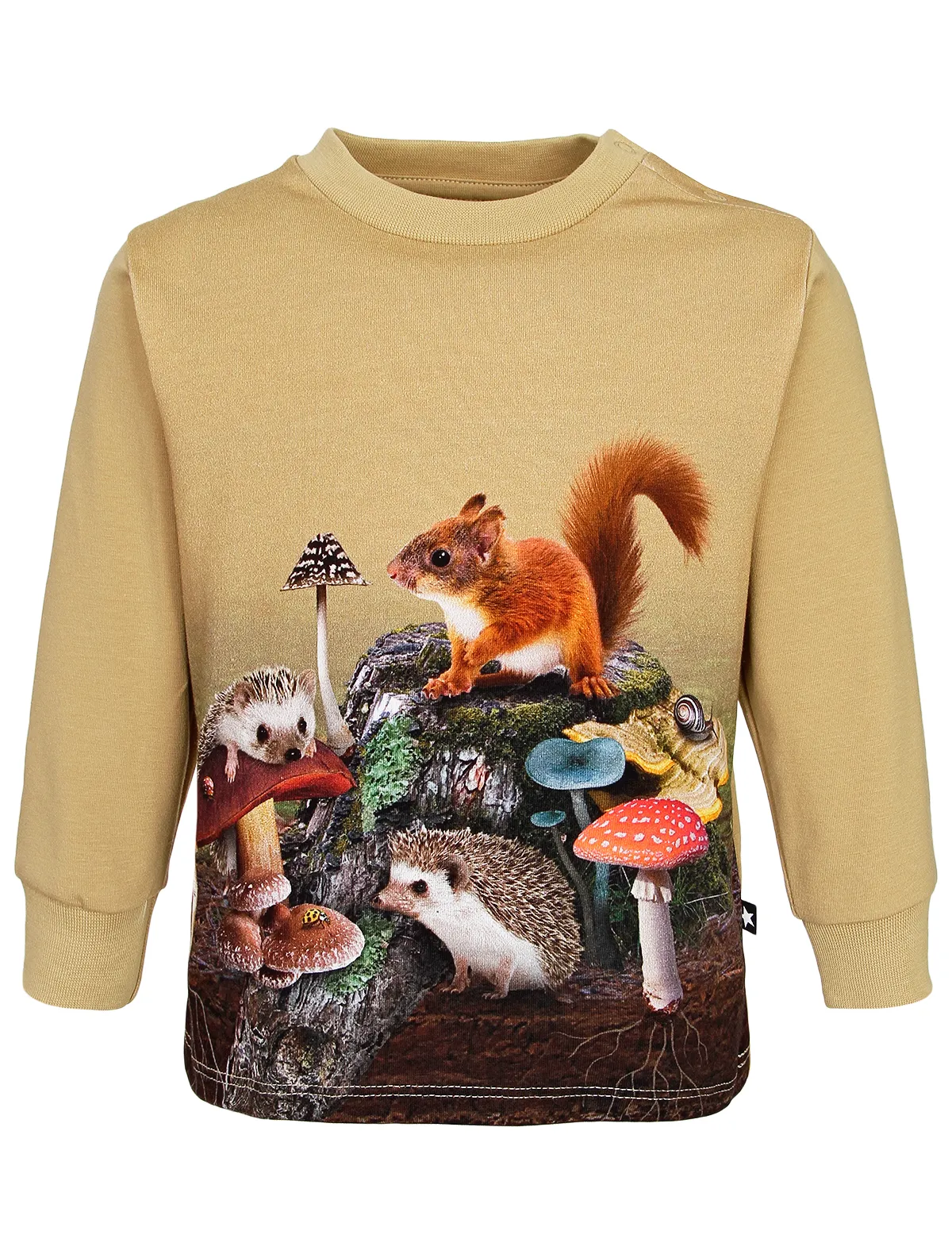 

Лонгслив Molo, Бежевый, 2605167