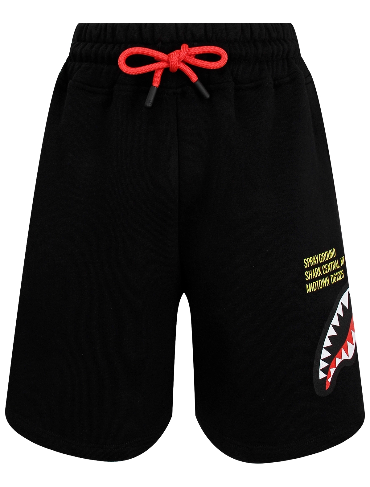 

Шорты SPRAYGROUND, Черный, 3200367