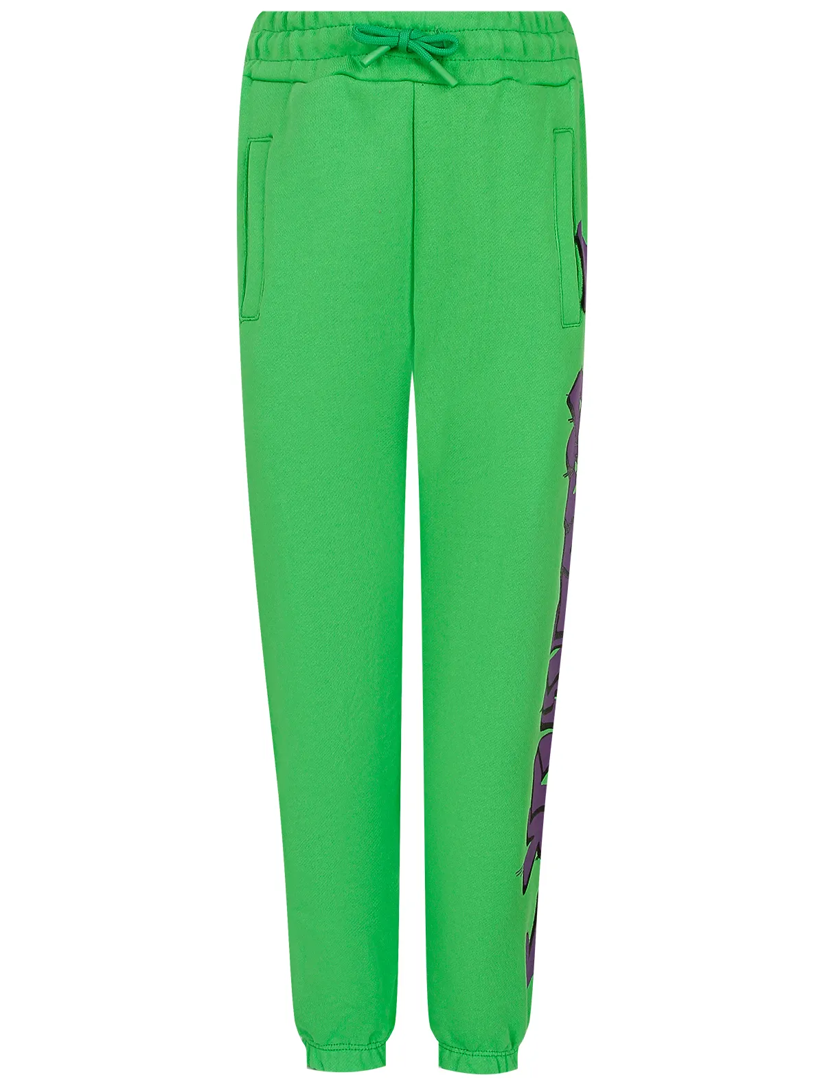 

Брюки спортивные DISCLAIMER, Зеленый, 2680700