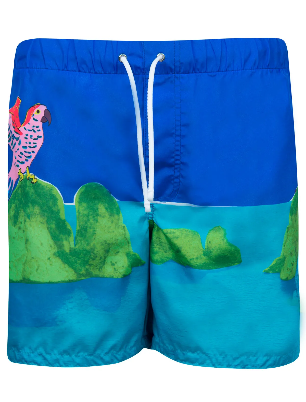 Шорты пляжные Dolce Gabbana 13570₽