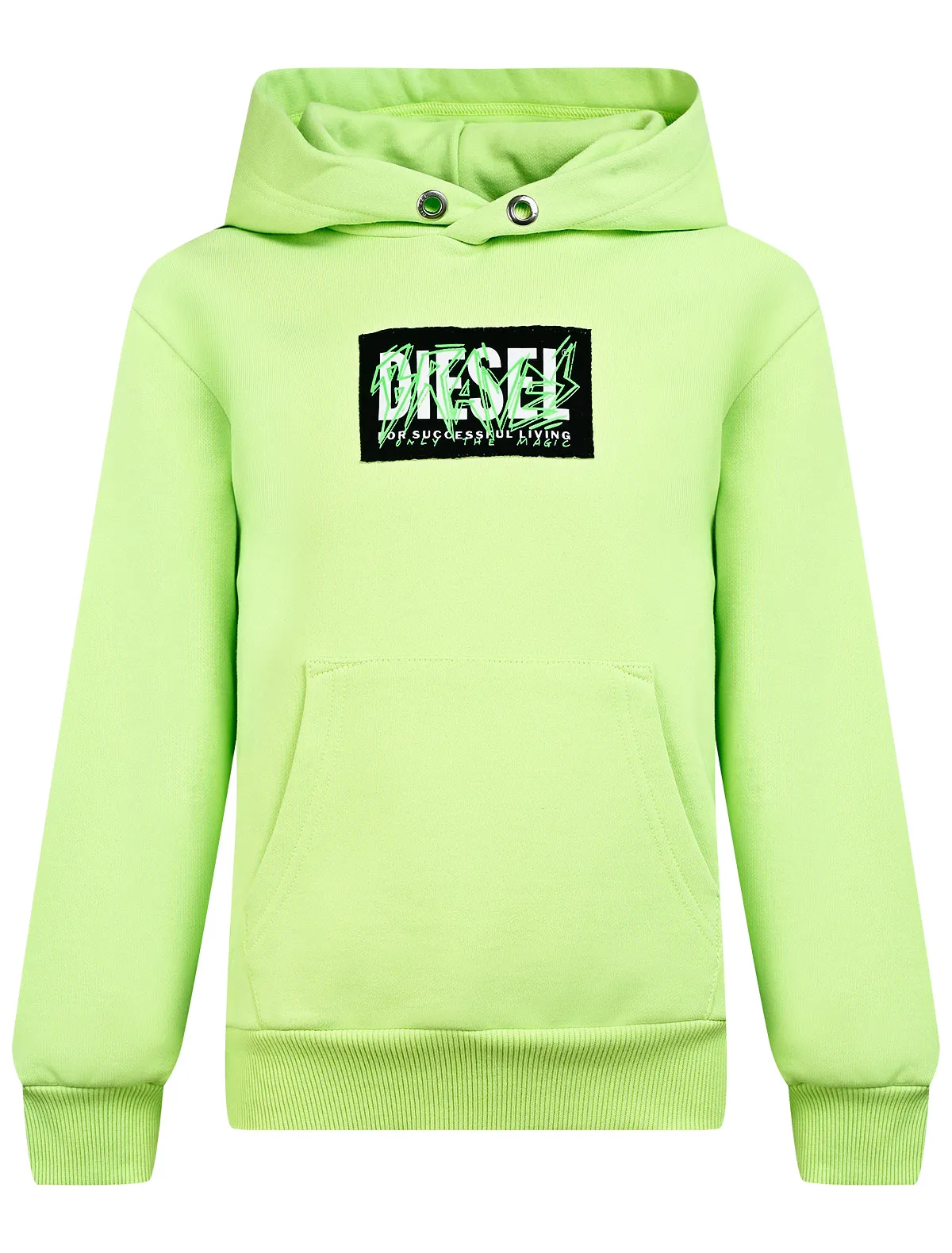 Худи Diesel 6090₽
