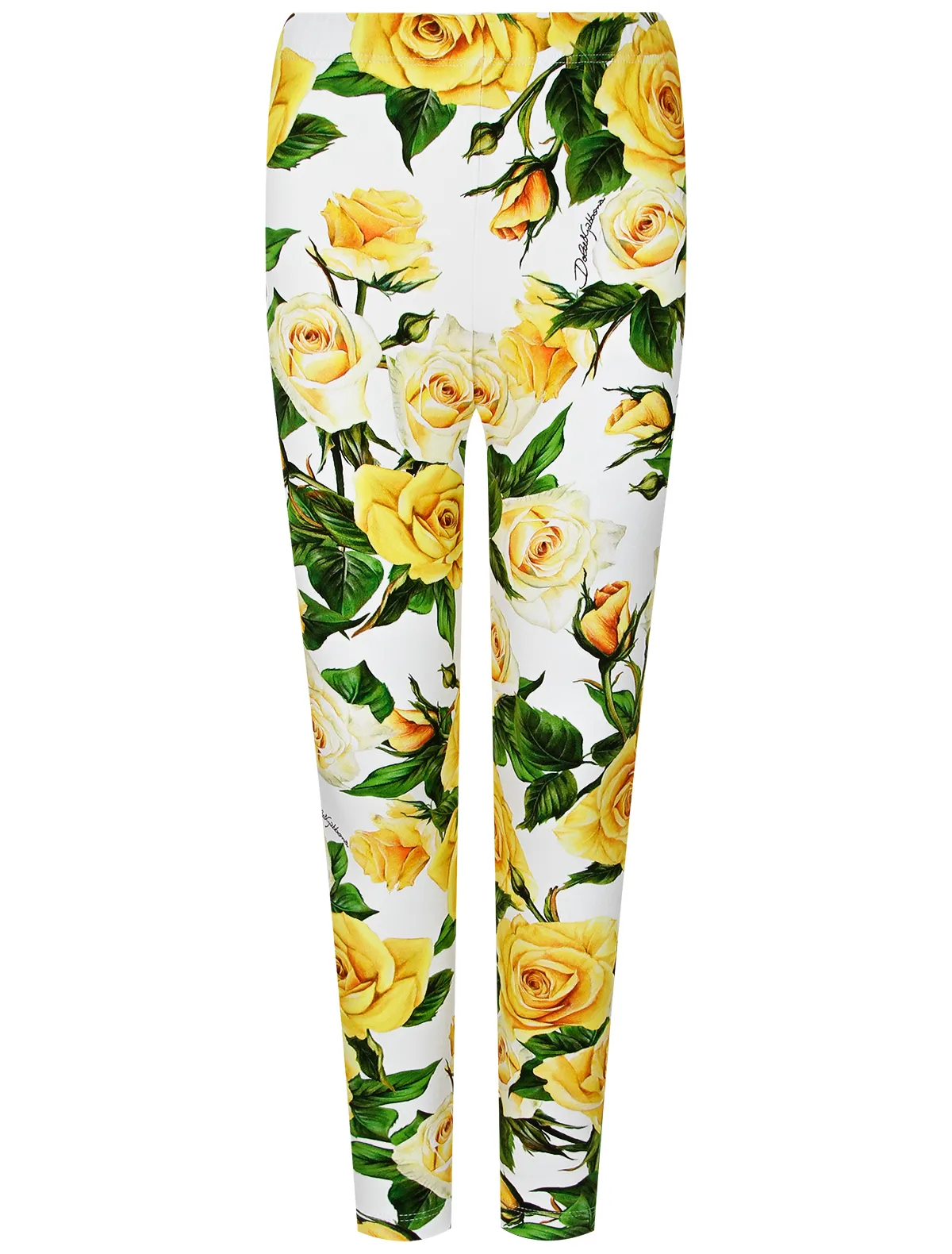 Леггинсы Dolce Gabbana 15990₽