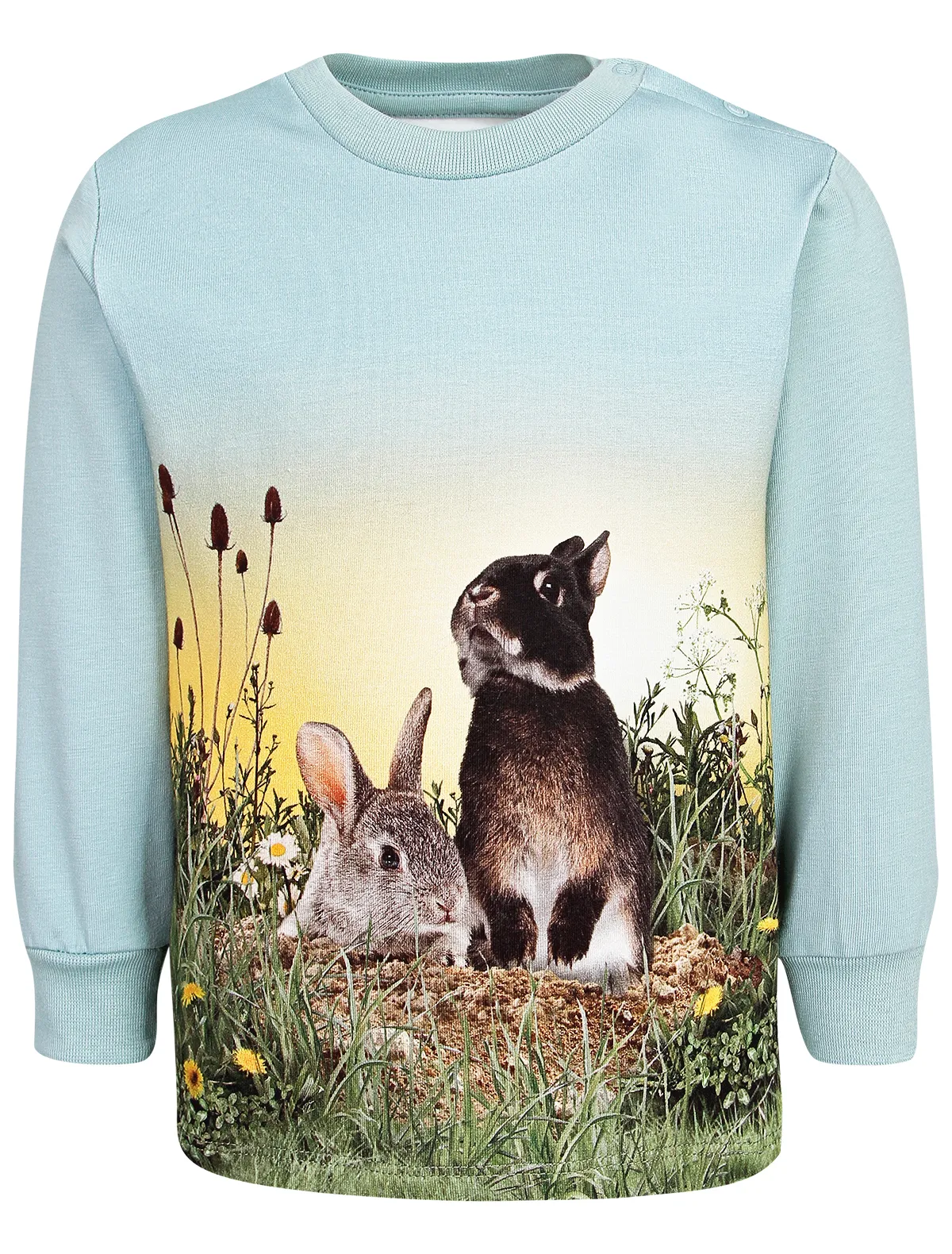 

Лонгслив Molo, Голубой, 2590057