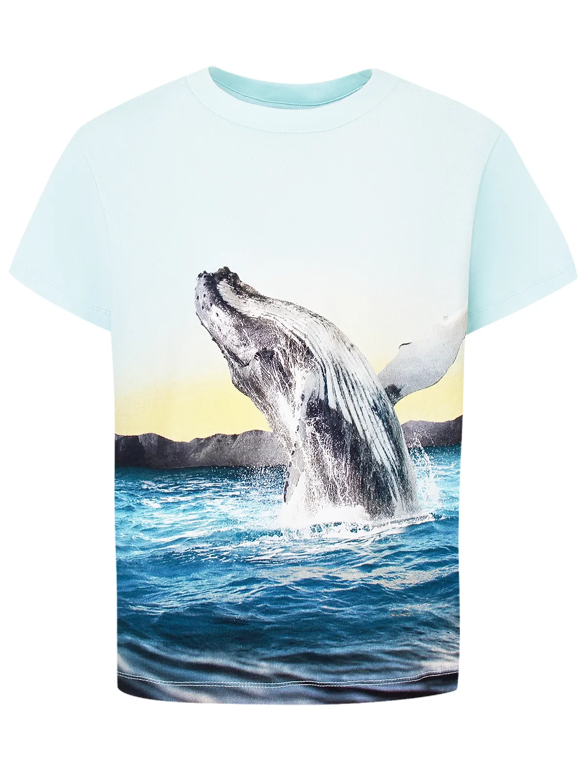 

Футболка Molo, Голубой, 2777706