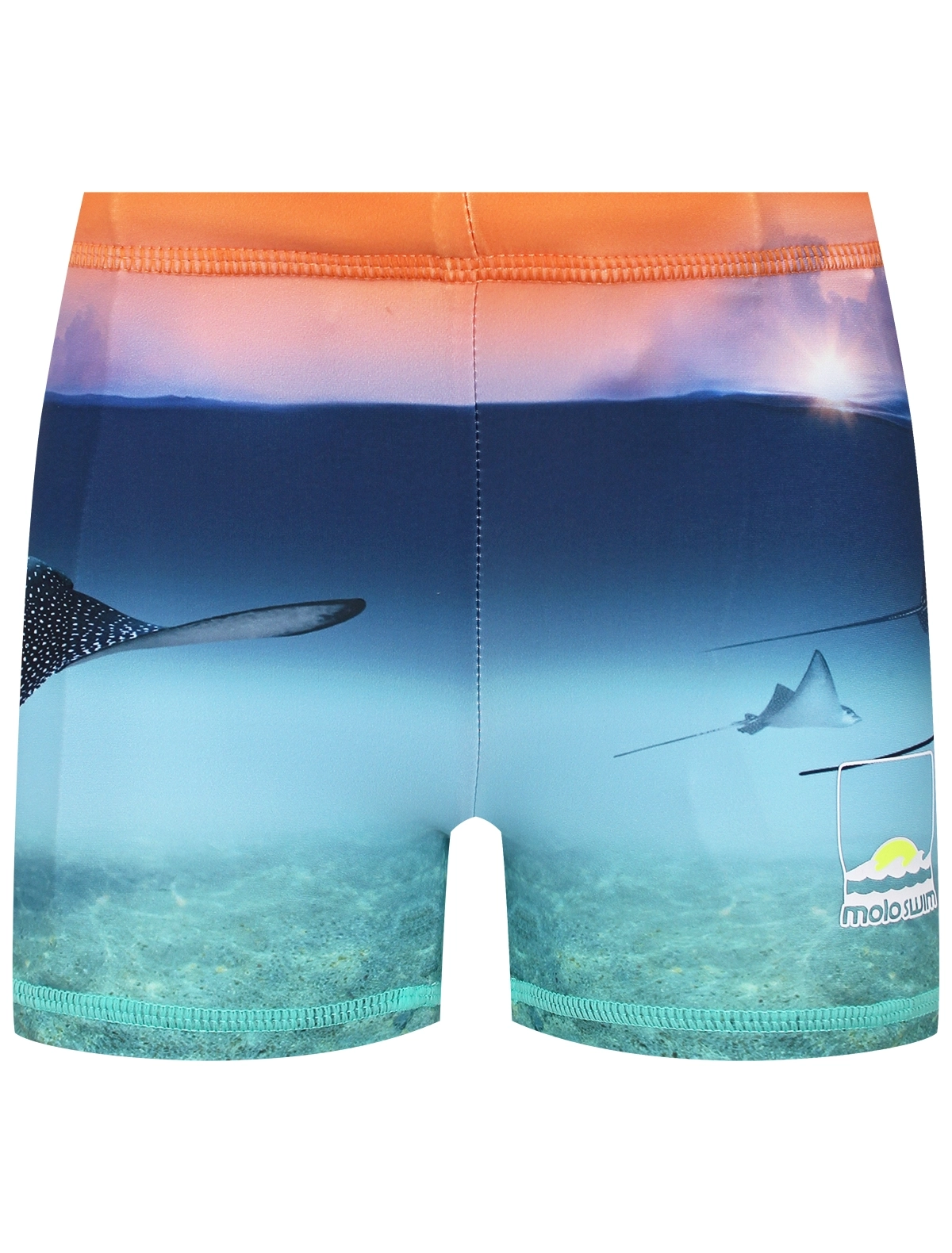 Плавки Molo 6520₽
