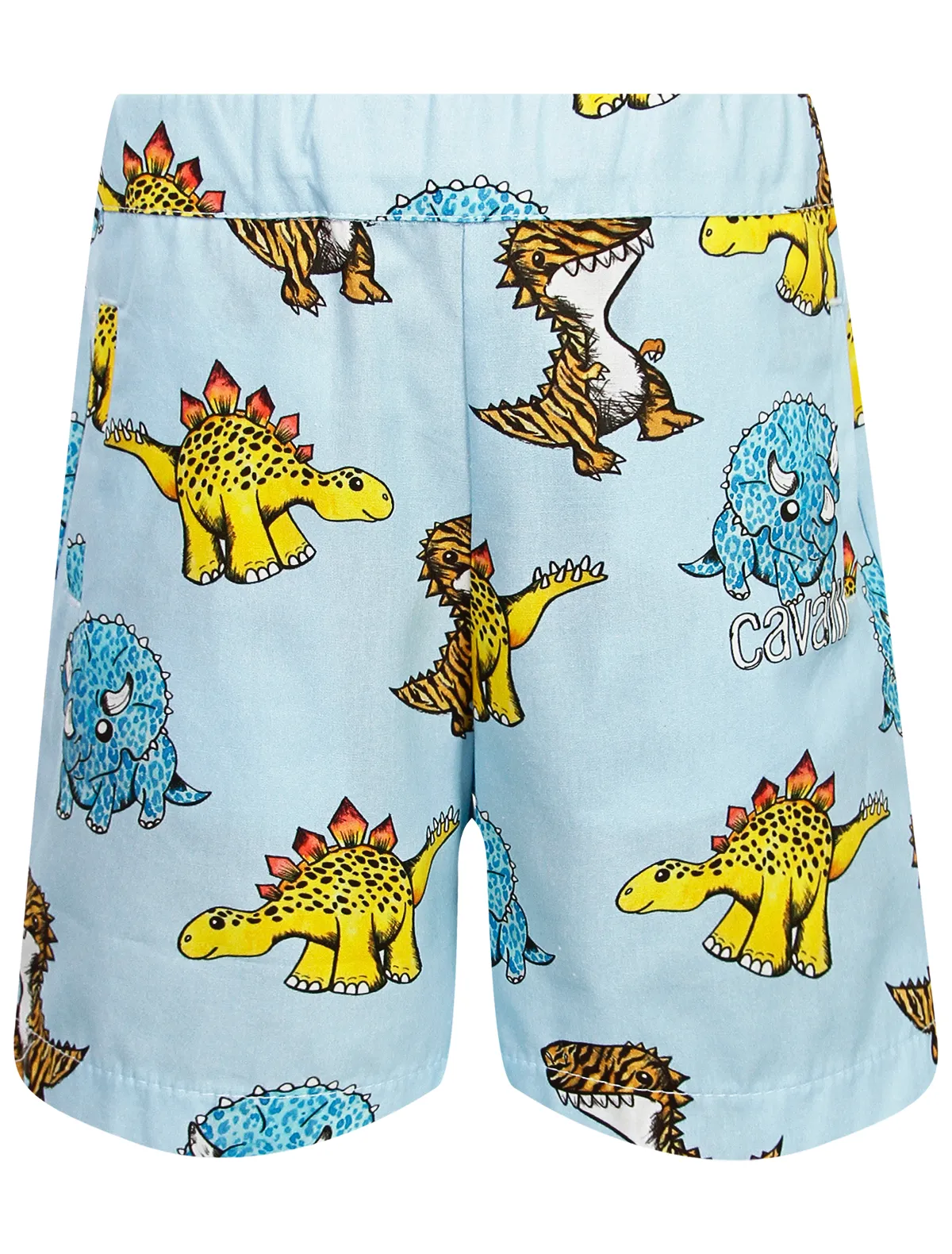 Шорты Roberto Cavalli 10612₽