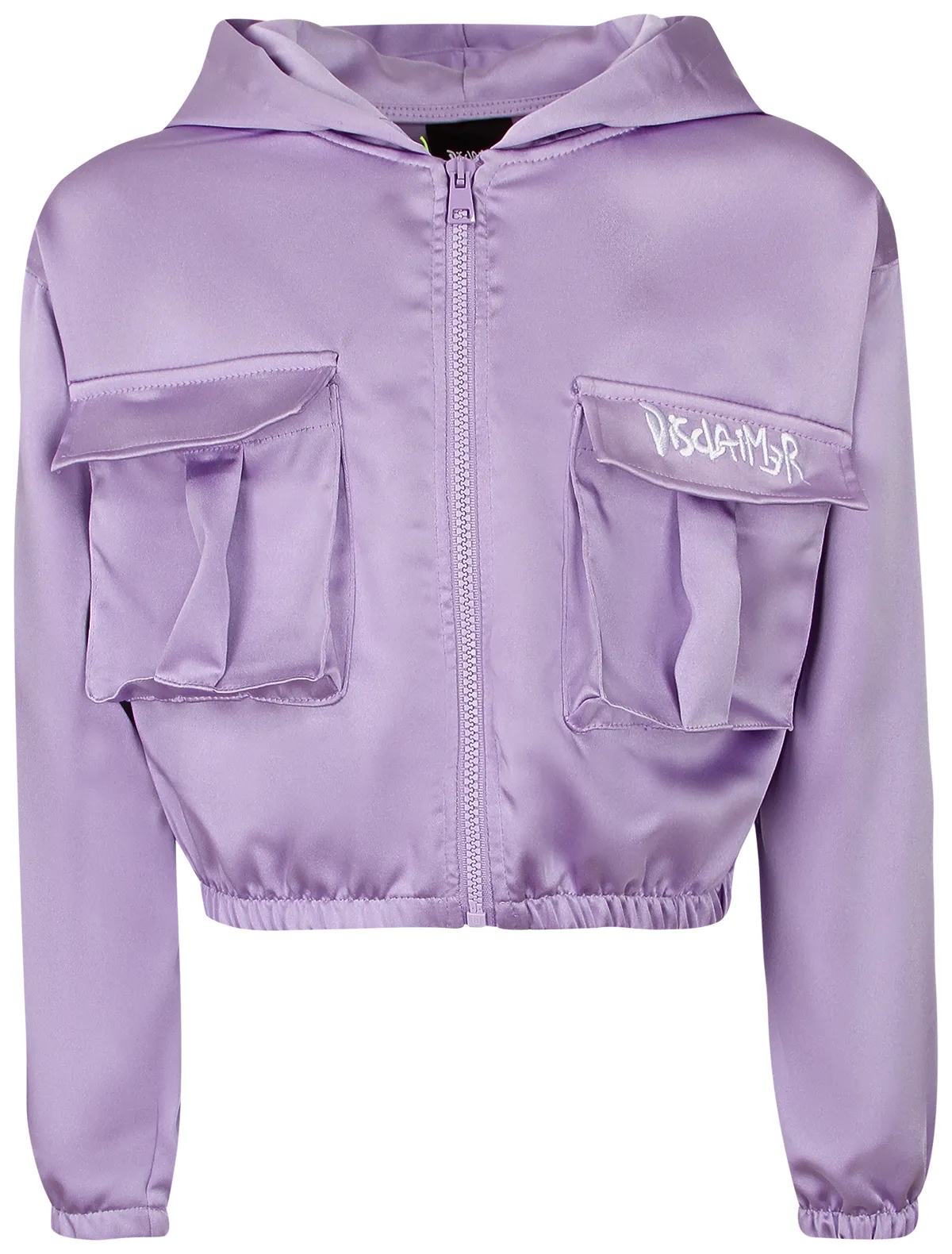 

Ветровка DISCLAIMER, Фиолетовый, 2680652