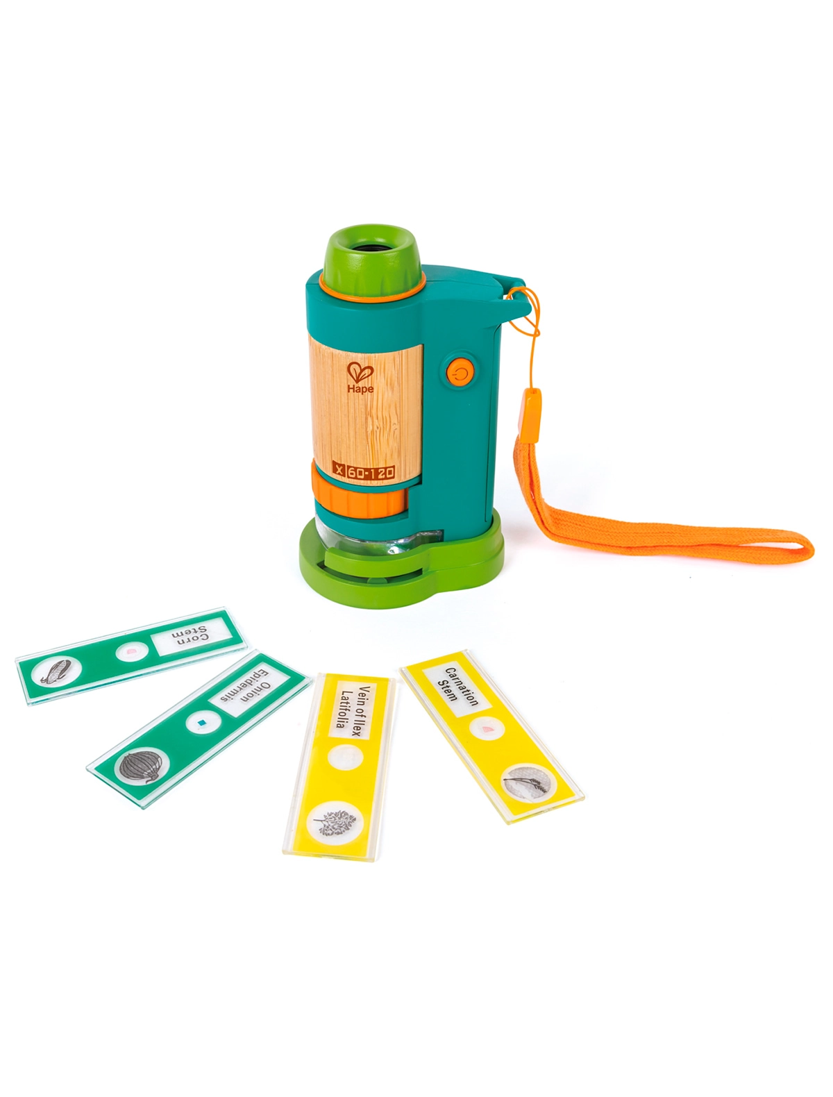 

Игрушка Hape, Зеленый, 2571607