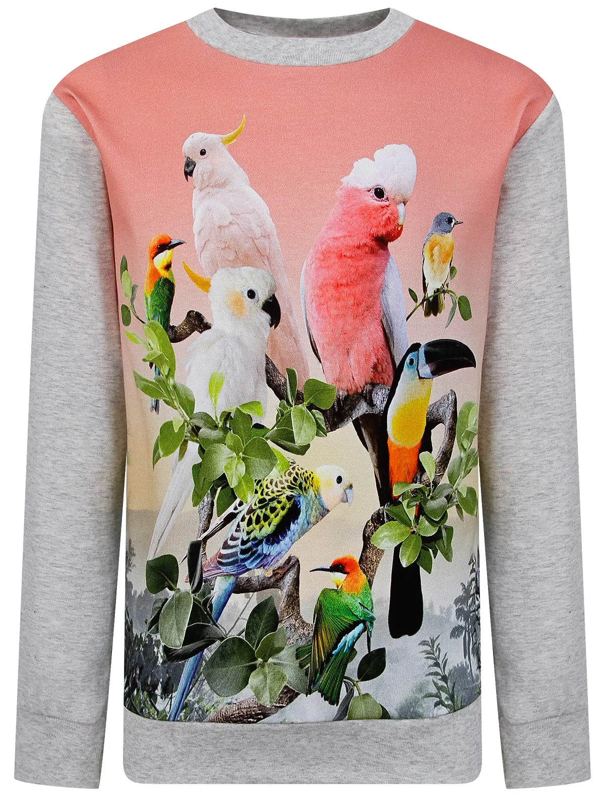 Лонгслив Molo 5698₽