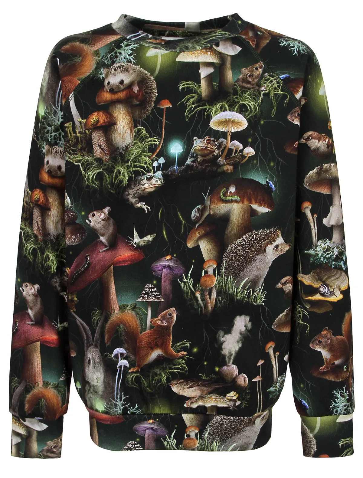 

Лонгслив Molo, Зеленый, 2605040