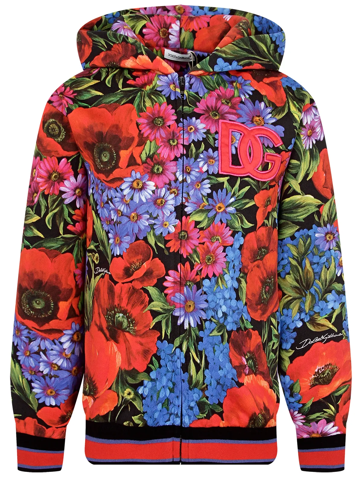 Толстовка Dolce Gabbana 24100₽