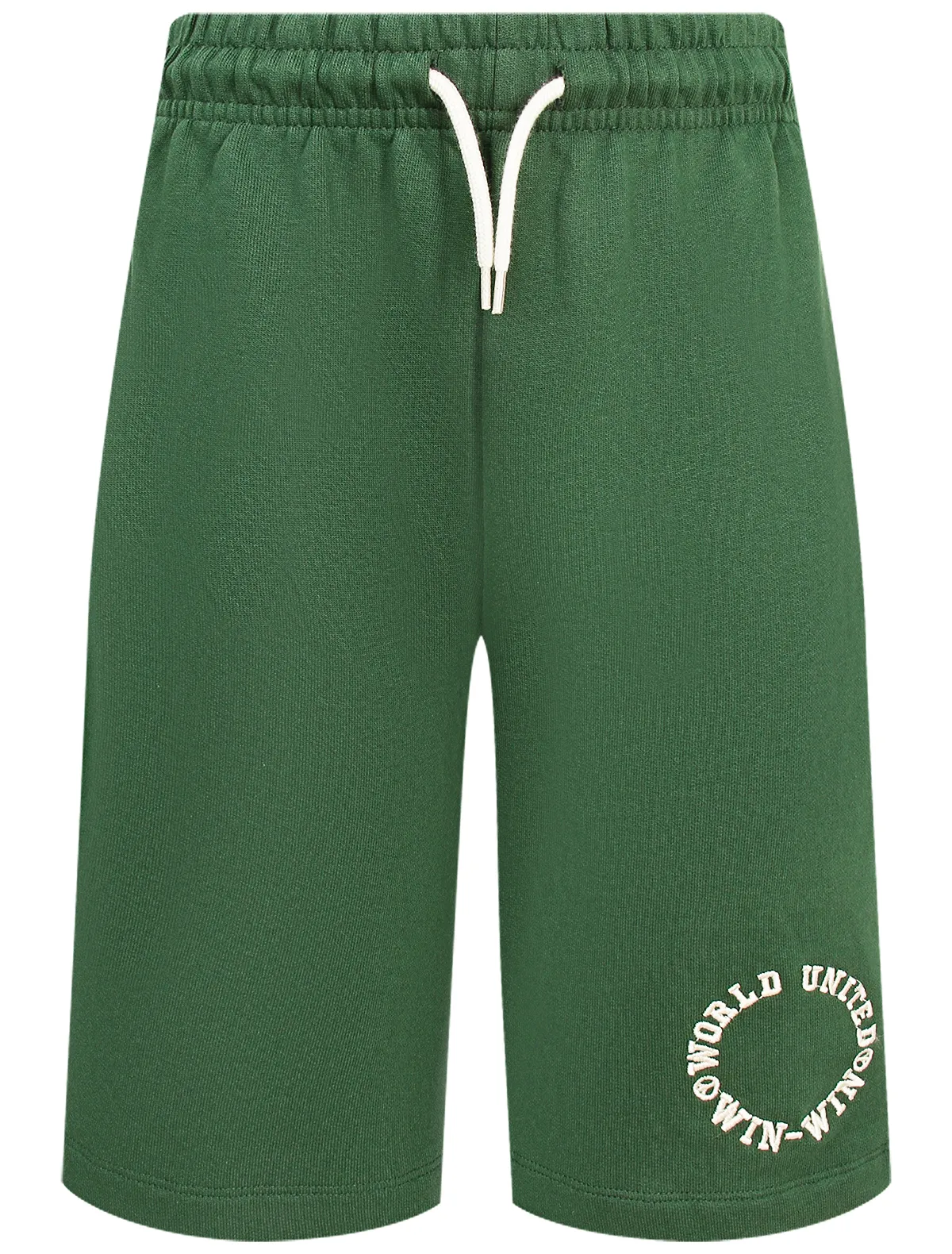 

Шорты Molo, Зеленый, 2766543