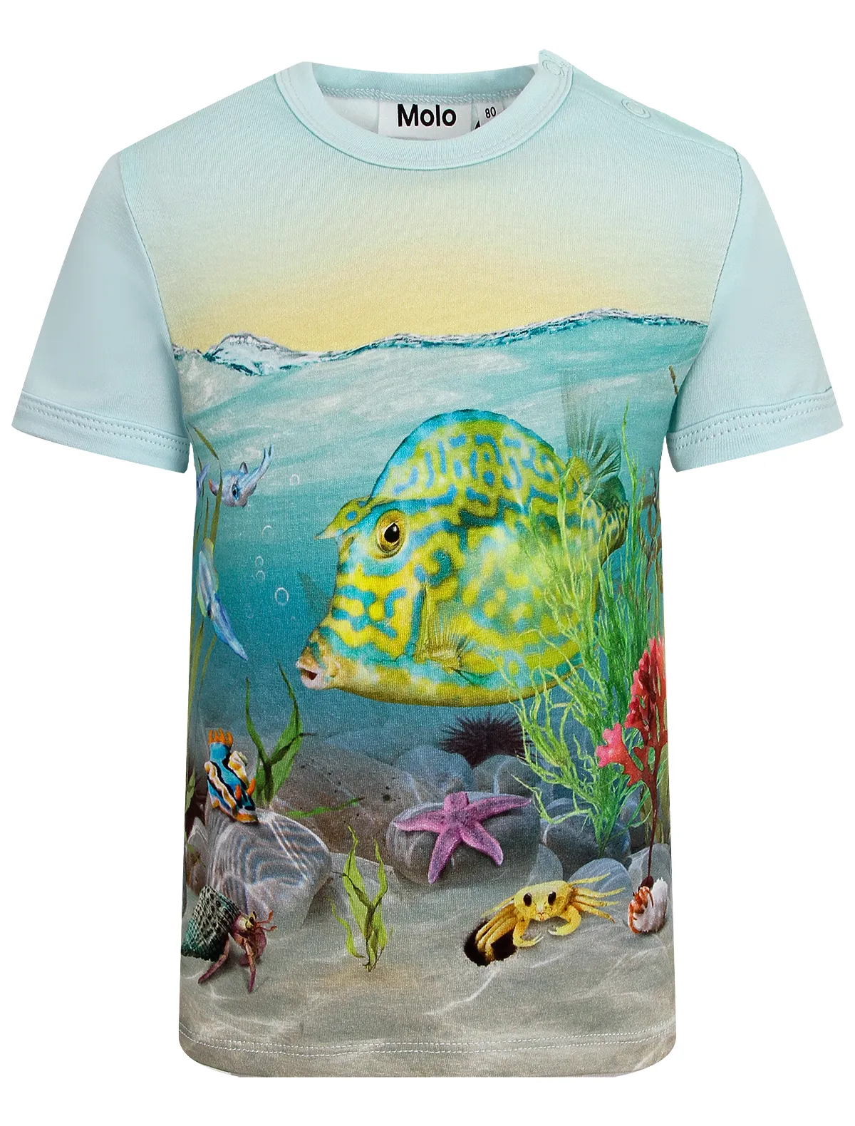 

Футболка Molo, Голубой, 2664546