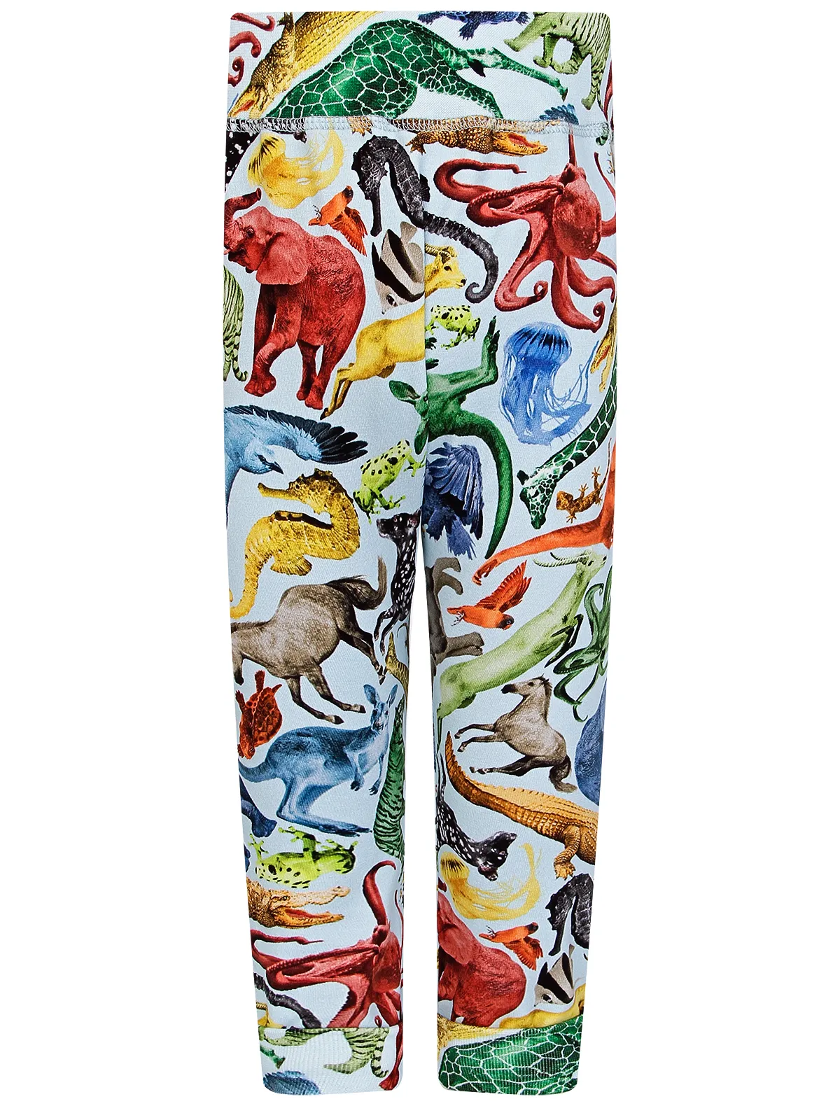 

Брюки спортивные Molo, Разноцветный, 2270465