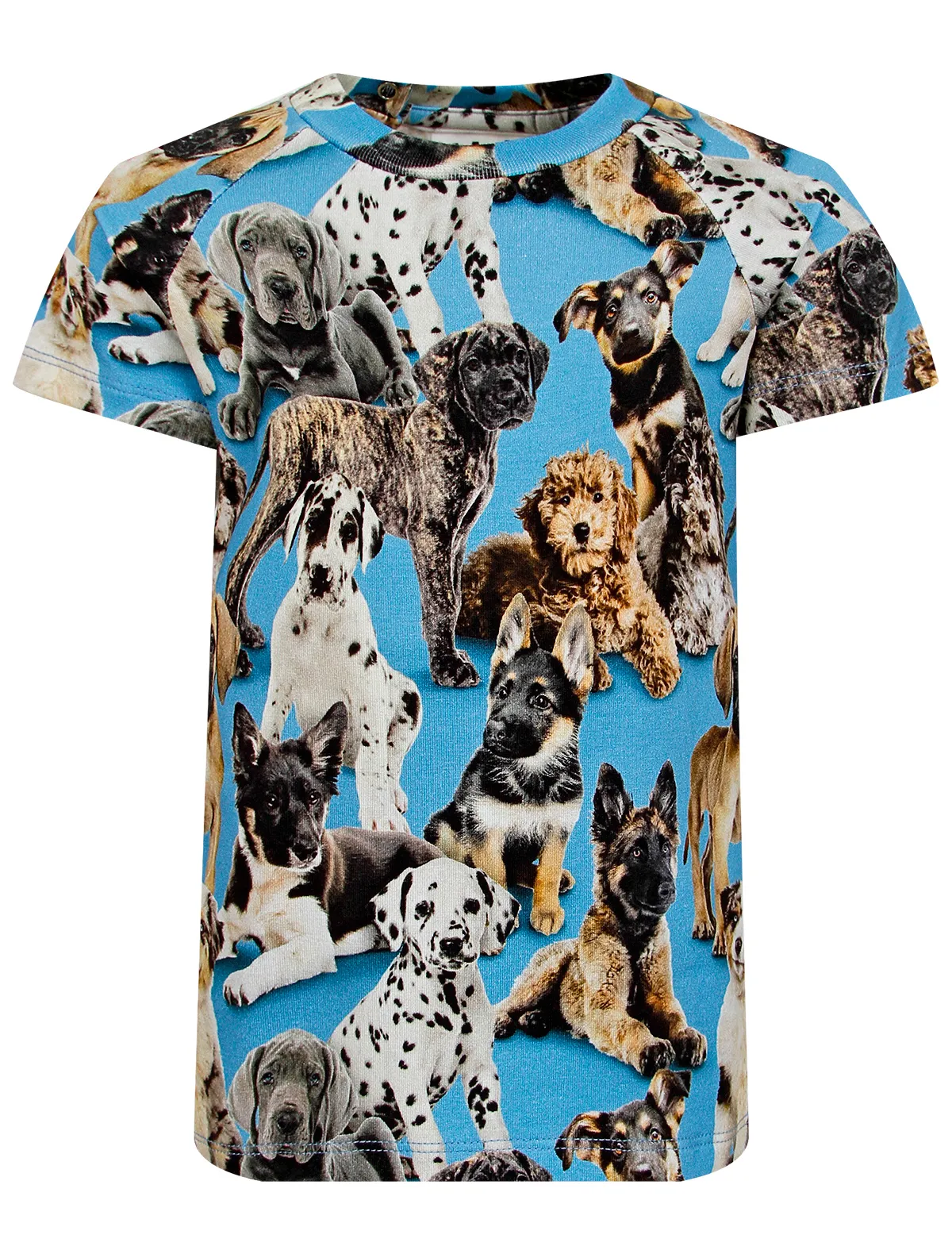 Футболка Molo 4256₽