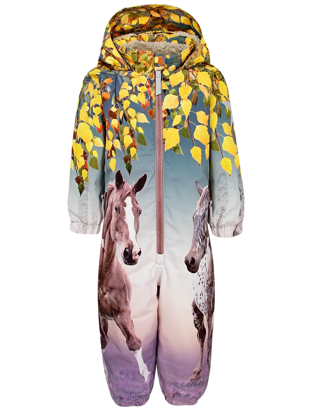 

Комбинезон утепленный Molo, Разноцветный, 2717677