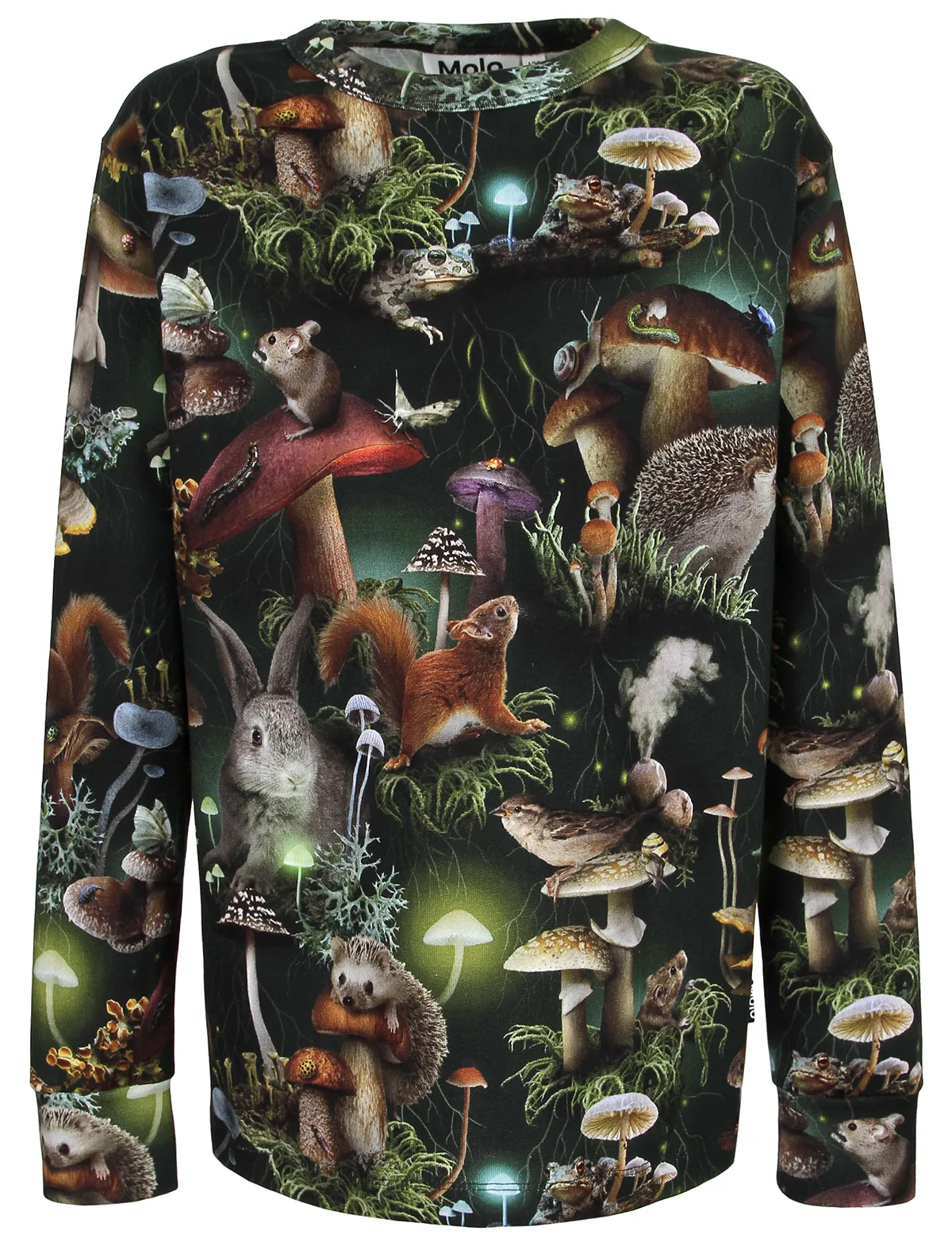 Лонгслив Molo 5920₽