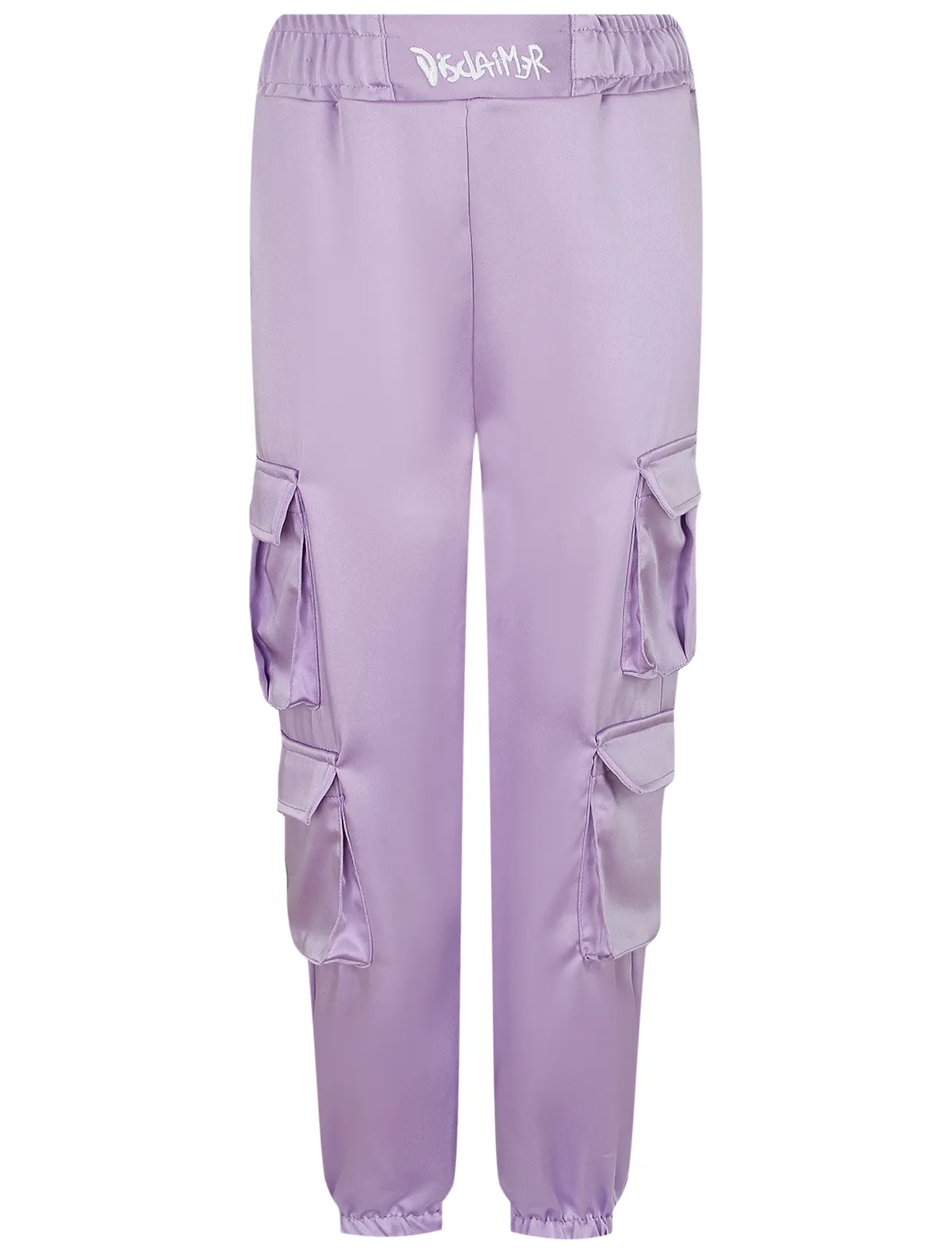 

Брюки DISCLAIMER, Фиолетовый, 2680706