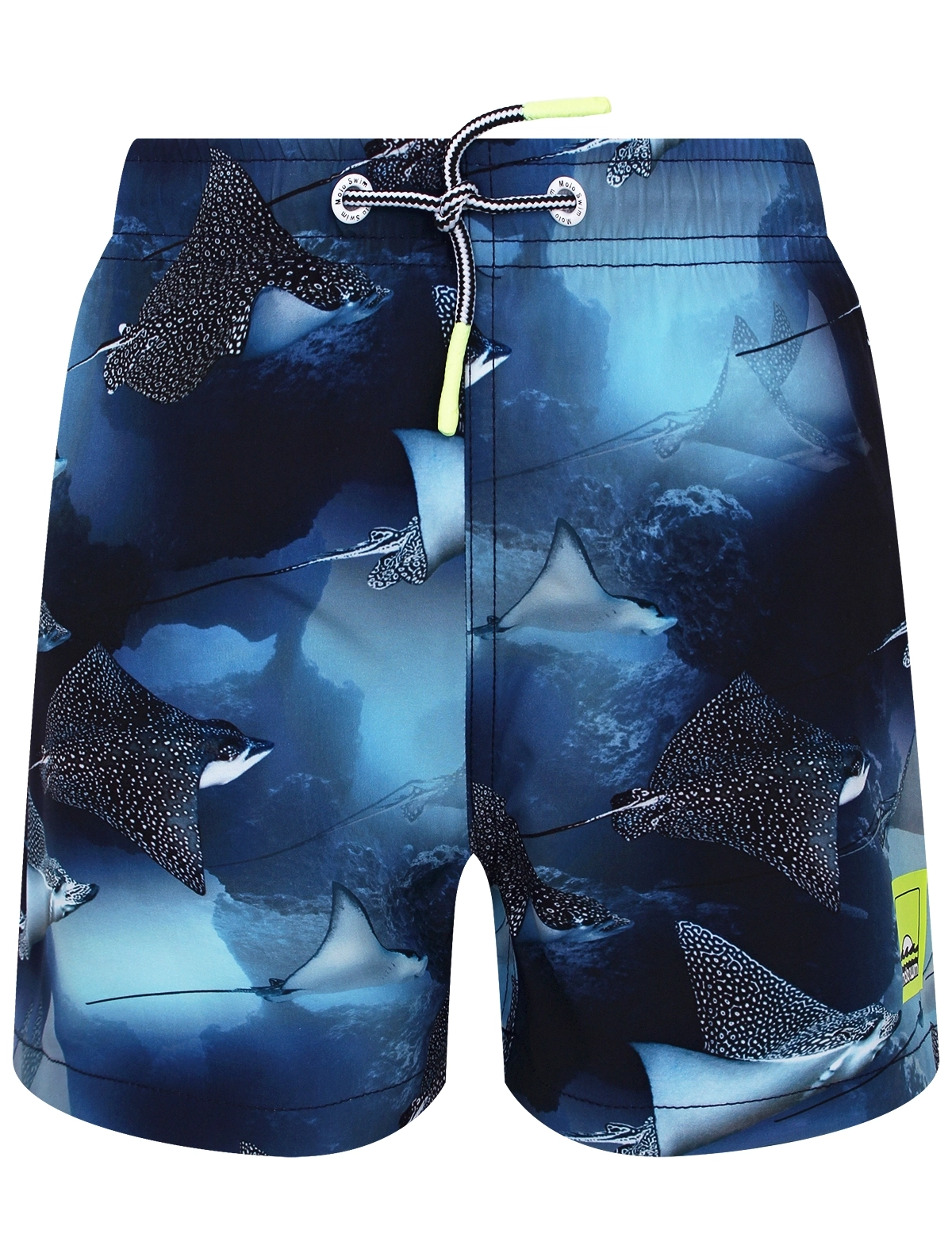 

Шорты пляжные Molo, Синий, 3114672