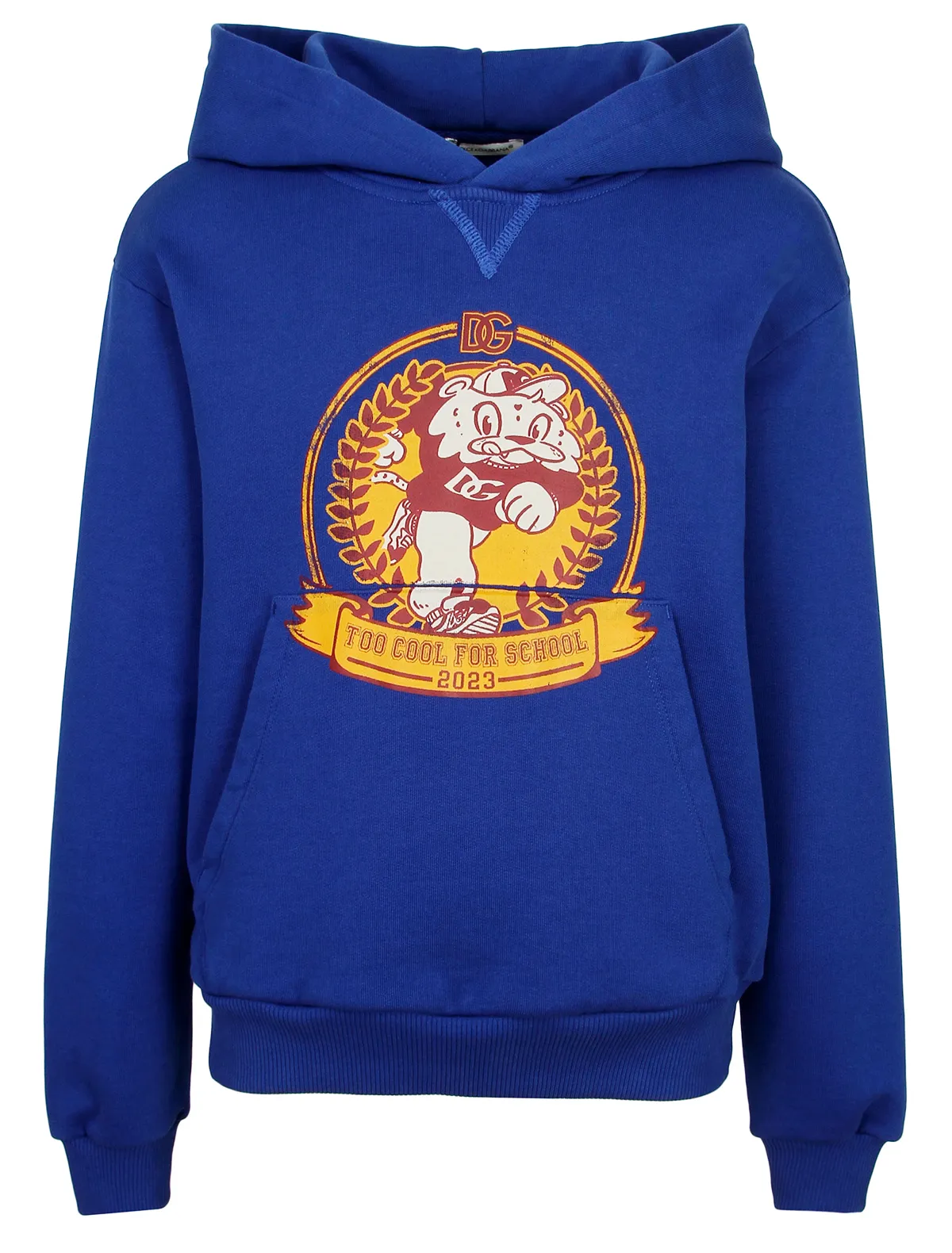 Худи Dolce Gabbana 18540₽