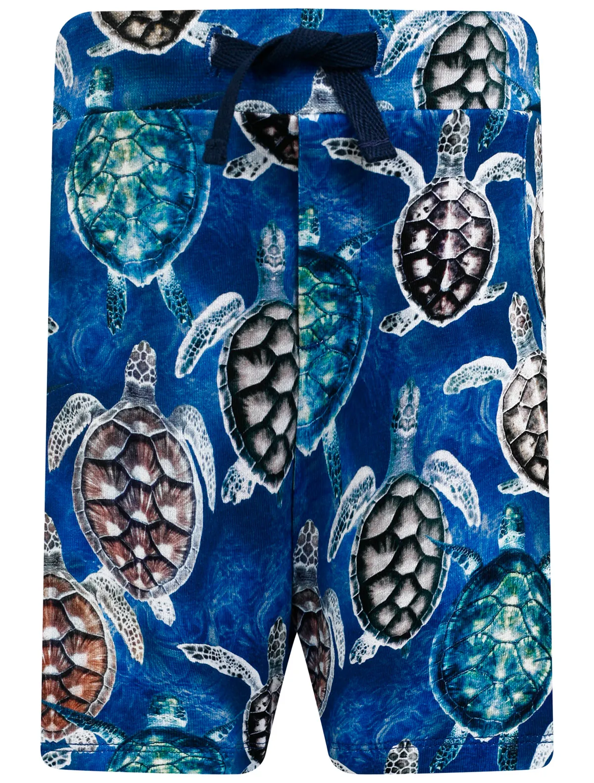 

Шорты Molo, Синий, 2293139