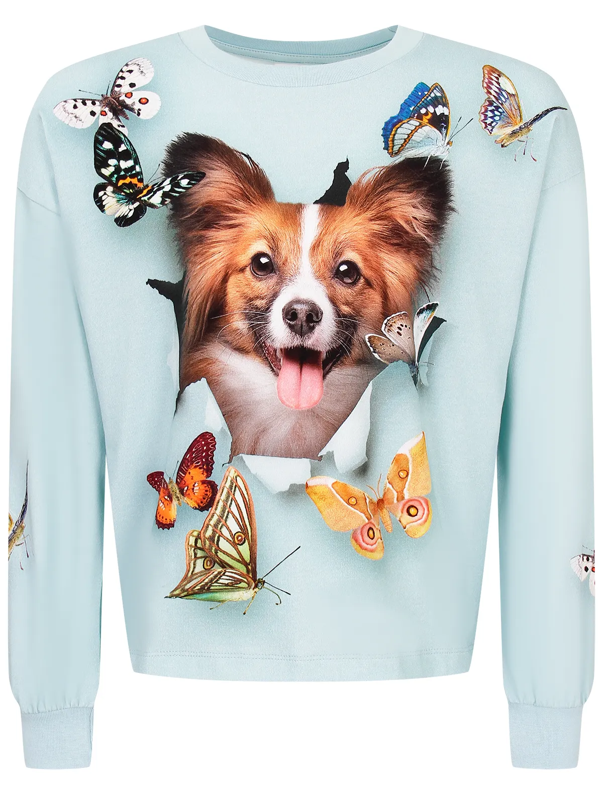 Лонгслив Molo 7880₽